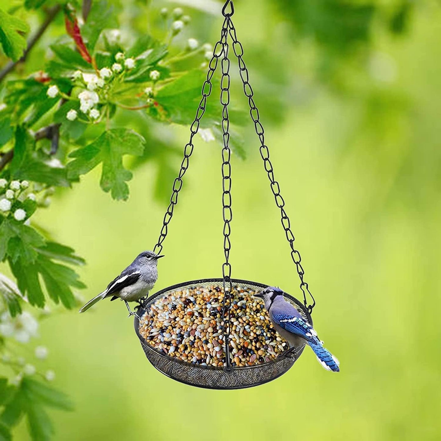Hanging Bird Feeder, Birdfeeder Hanging for Garden Yard Outside Hanging Bird Feeder Tray - Metal Mesh Platform Feeders for Birds Outside Outdoors Hanging for Attracting Birds - Original