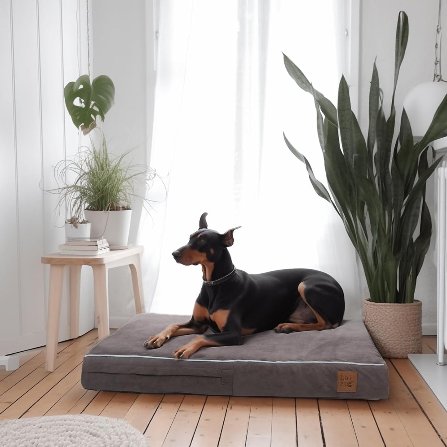 Laifug Orthopedic Memory Foam Pet(40"x 25"x 4",Slate Grey)/Dog Bed with Durable Waterproof Liner and Removable Washable Cover