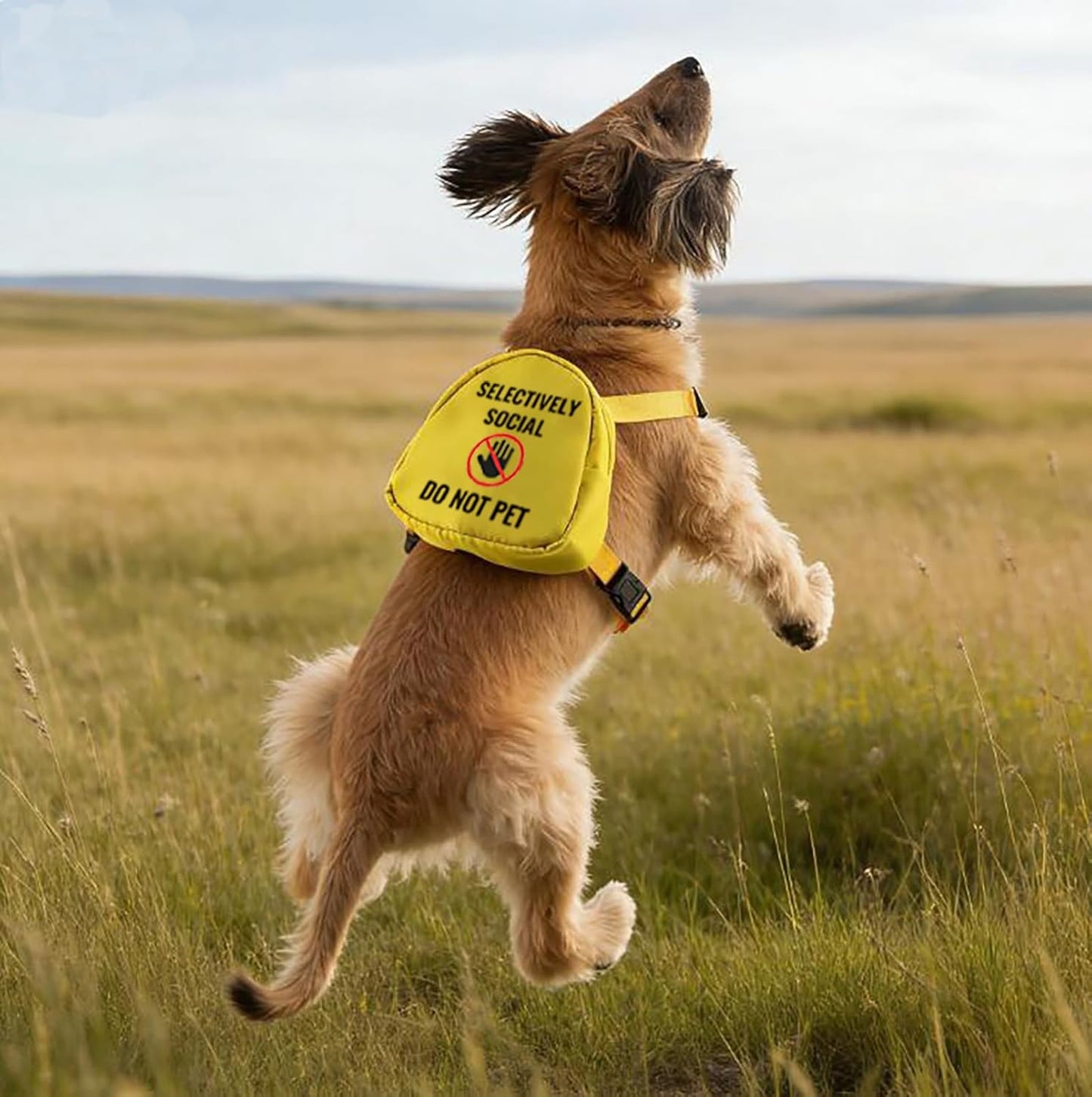 Social Anxiety Dog Travel Bag Selectively Social Do Not Pet Backpack Dog Walking Slogan Puppy Snack Storage (Selectively Social)