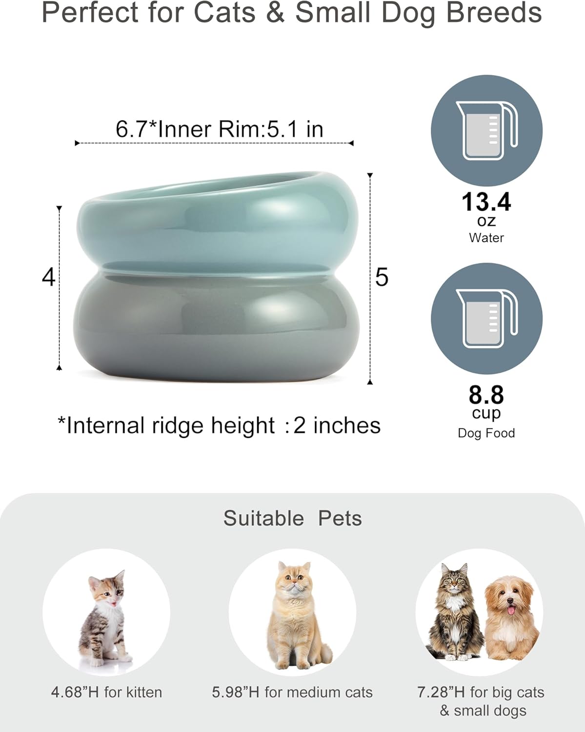 Ceramic Elevated Cat and Dog Bowls for Small Dogs, Non-Slip Tilted Raised Cat Food and Water Bowls Whisker Friendly, Standing Wet Food Bowl-Blue