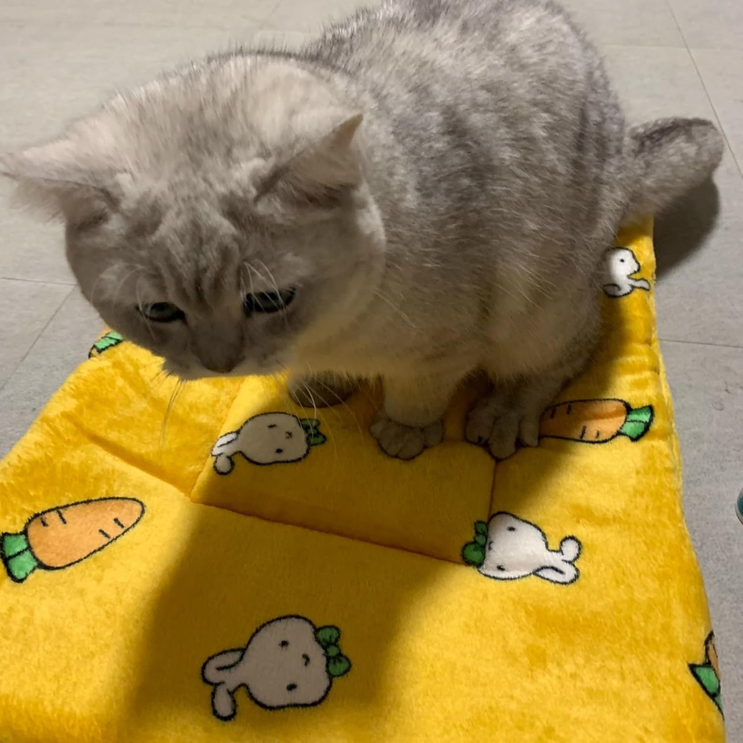 Self Warming Cat Bed, Self Heating Pet Mat with Carrot Pattern, Thermal Reflective Warm Pad for Cats & Dogs, Non-Slip, No Electric, Yellow, 27.17 x 18.9 Inch