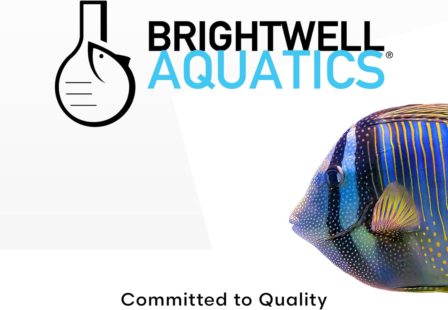 Brightwell Aquatics AminŌmega Amino Acid Omega-3 6 Supplement for Enriching Live Prepared Foods Supports Color Growth Recovery in Marine Fish Corals Inverts, 125 ml