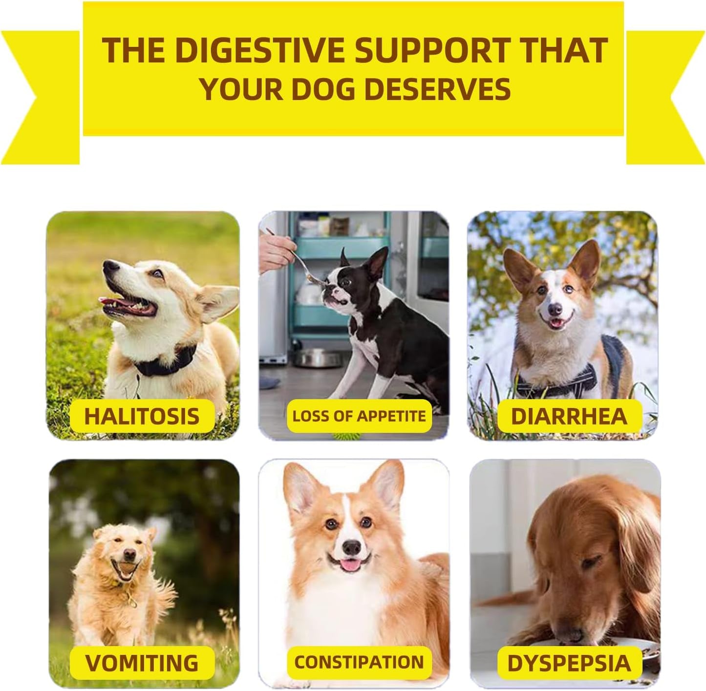 Probiotics for Dogs - Grain Free Digestive Support for Gut Health & Skin Comfort - Delicious Soft Treats with Prebiotics for Puppy, Adult & Senior Dog