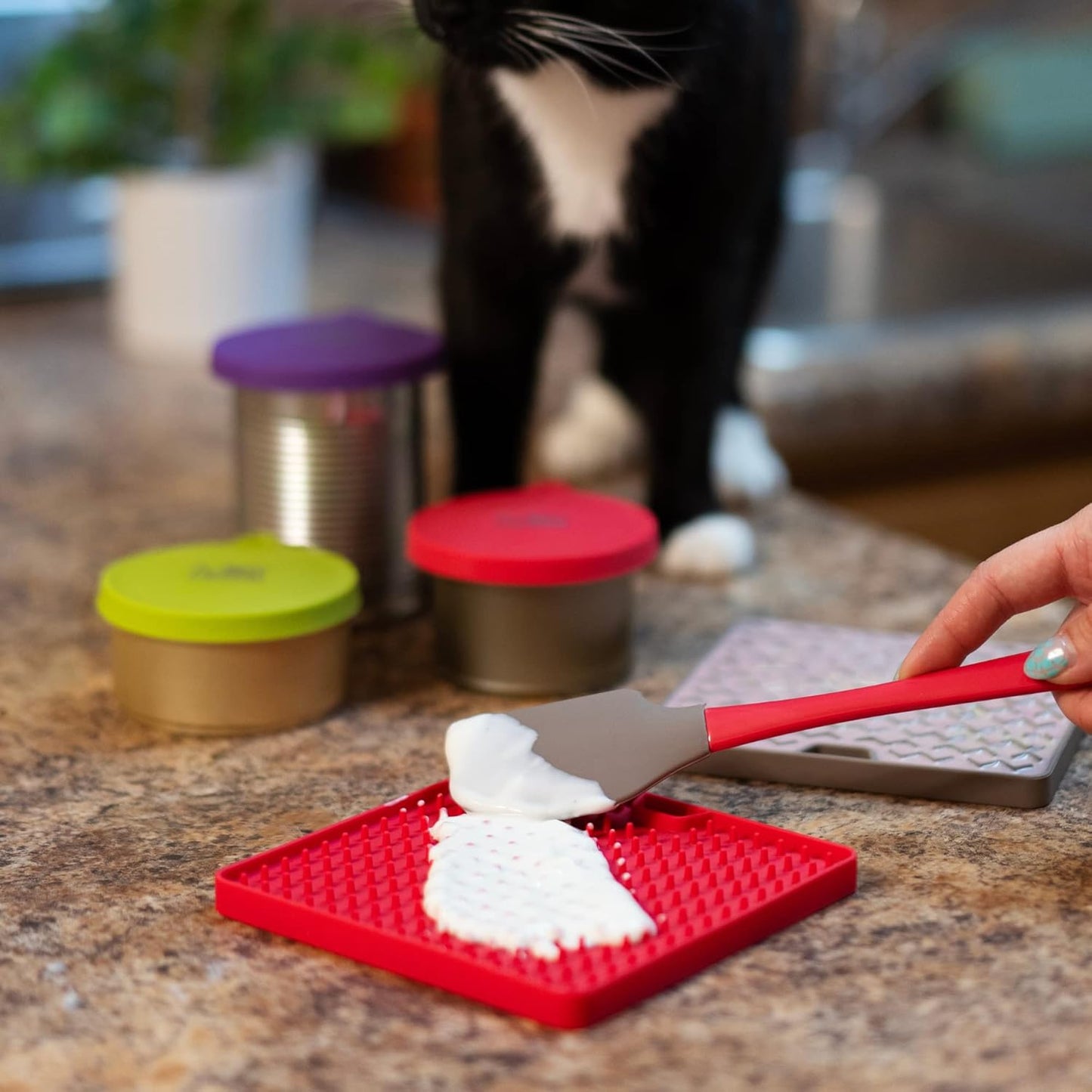 Messy Mutts & Cats Silicone Reversible Interactive Feeding and Licking Mat | 5.5” x 5.5” | Slow Feeder for Boredom & Anxiety | Lick Pad for Cats & Small Dogs | Grey