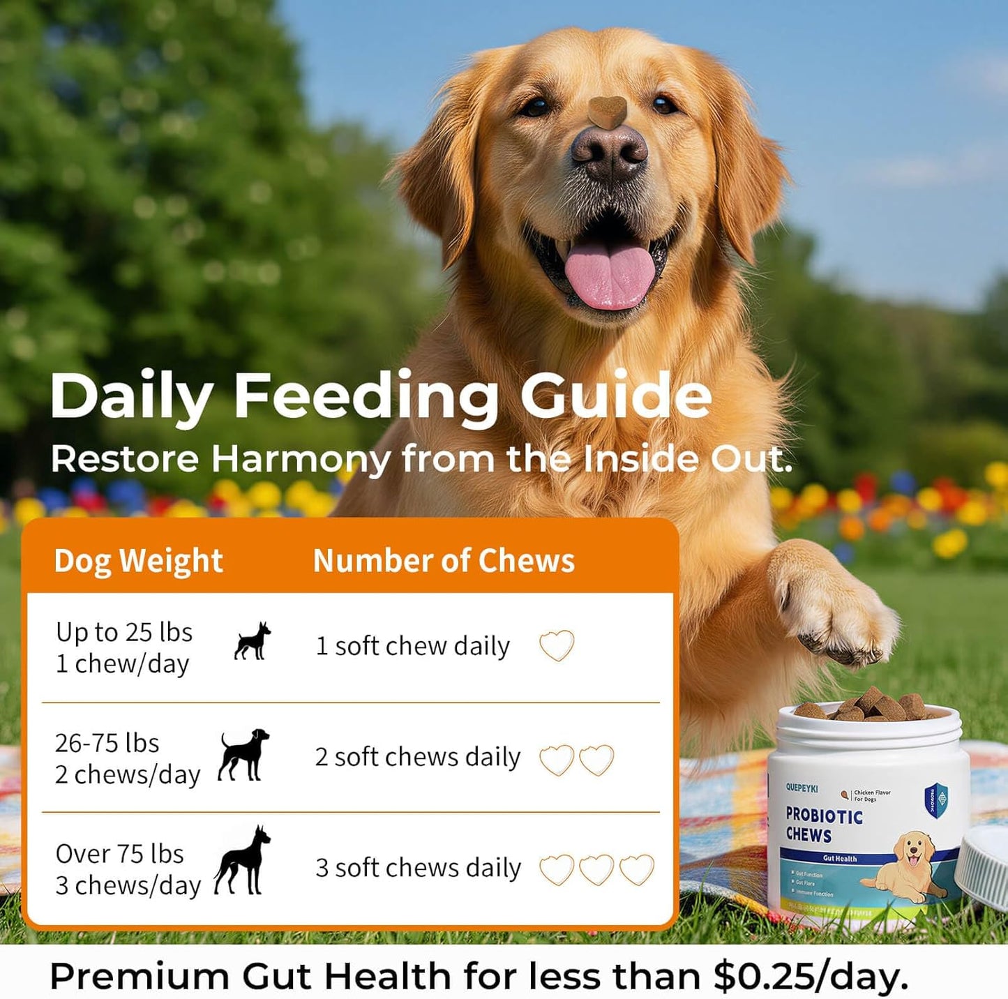Dog Probiotics Soft Chews with 160mg Pumpkin & Papaya Enzymes – 90 Count – 4-in-1 Gut Support for Scooting Comfort, Stool Consistency & Occasional Gas – Chicken Liver Flavor