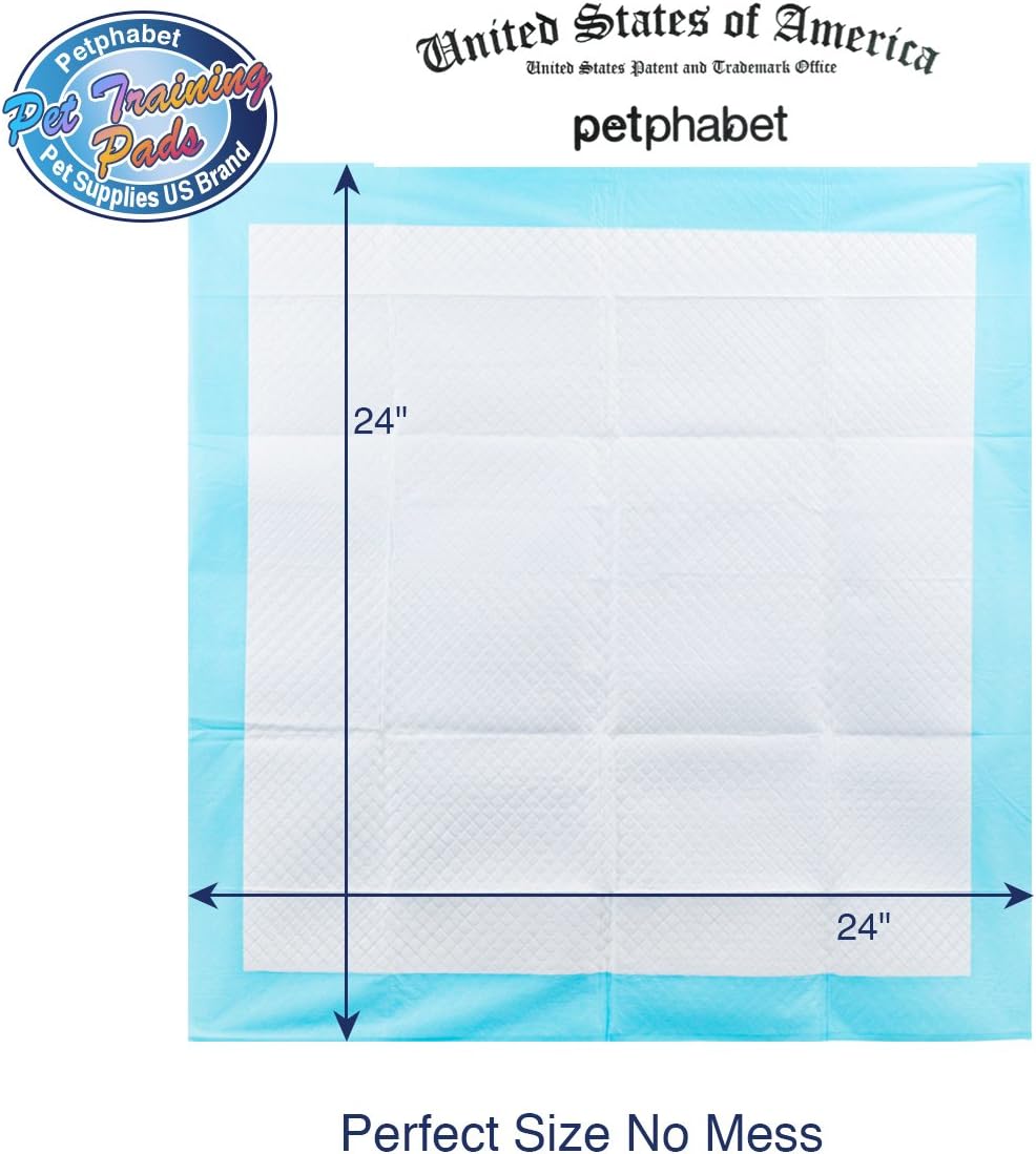 Petfamily Super-Absorbent 24 by 24 Inches Dog Training Pads - 100 Count of Pads