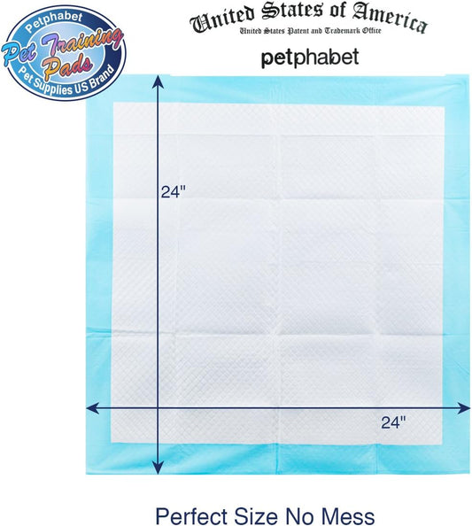 Petfamily Super-Absorbent 24 by 24 Inches Dog Training Pads - 100 Count of Pads