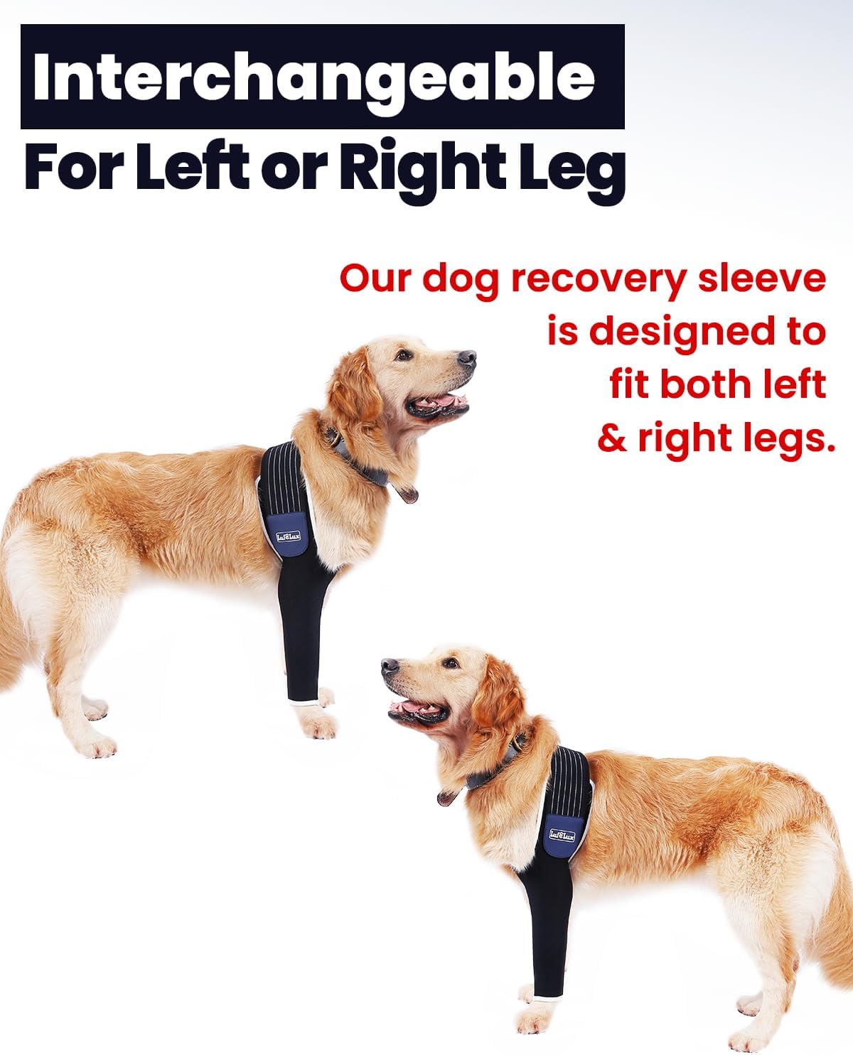 Dog Front Leg Sleeve, XLarge, Comfortable, Breathable Material, Adjustable Elastic Band, for Hot Spots, Wounds, Bandages