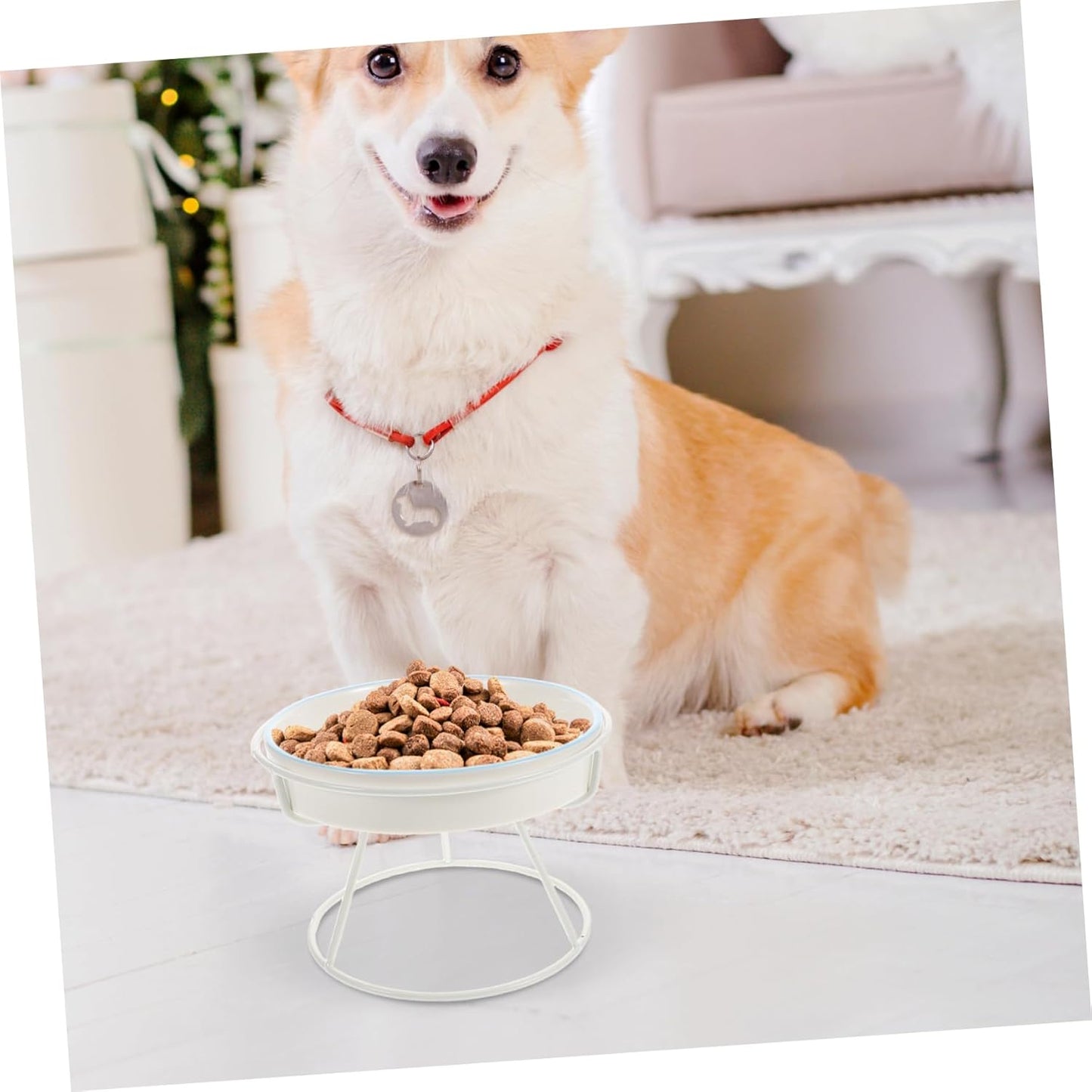 Milisten Elevated Ceramic Cat Bowl Slow Feeder Dish with High Stand for Cats and Small Dogs Choking Design Promotes Healthy Eating Dishwasher Safe