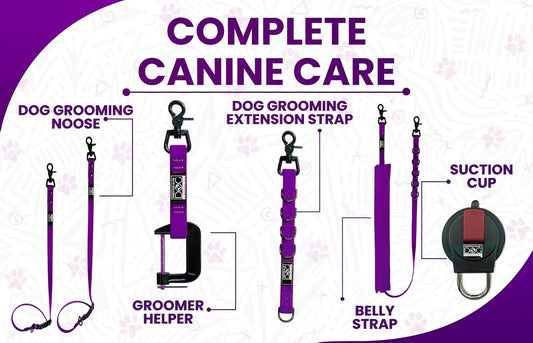 Prestige Elite - Set of 6 - Groomers Helper, Grooming Loops for Dogs Groomers - Adjustable Biothane Dog Grooming Belly Band, Grooming Noose, Extension Strap, Suction Cup & Dog Grooming Loop