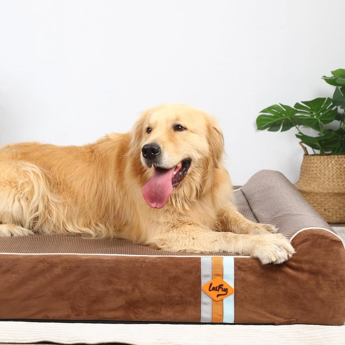 Laifug Orthopedic Memory Foam Extra Large Dog Bed with Pillow and Durable Water Proof Liner & Removable Washable Cover & Smart Design (Jumbo (50"x36"x10"), Chocolate)