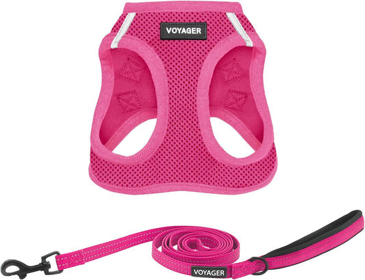Best Pet Supplies Voyager Step-in Air All Weather Mesh Harness and Reflective Dog 5ft Leash Combo with Neoprene Handle, for Small, Medium and Large Breed Puppies - Set (Fuchsia), Large