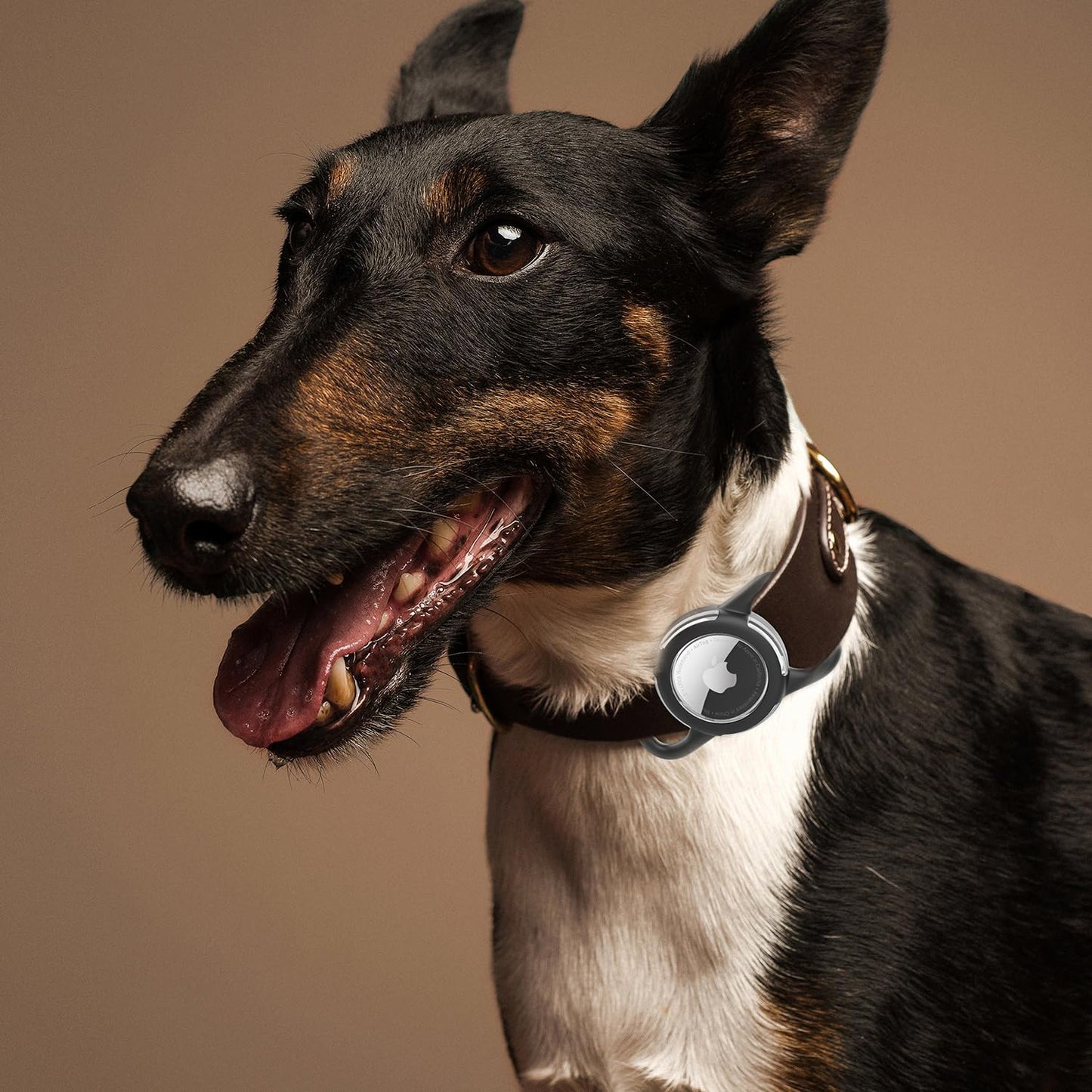 Waterproof Airtag Holder for Dog Collar, Soft Full-Body Protective Airtag Holder for Dog & Cat Collars, Ultra-Durable, Easy Installation, Lightweight Clear Airtag Case (Black, Regular)