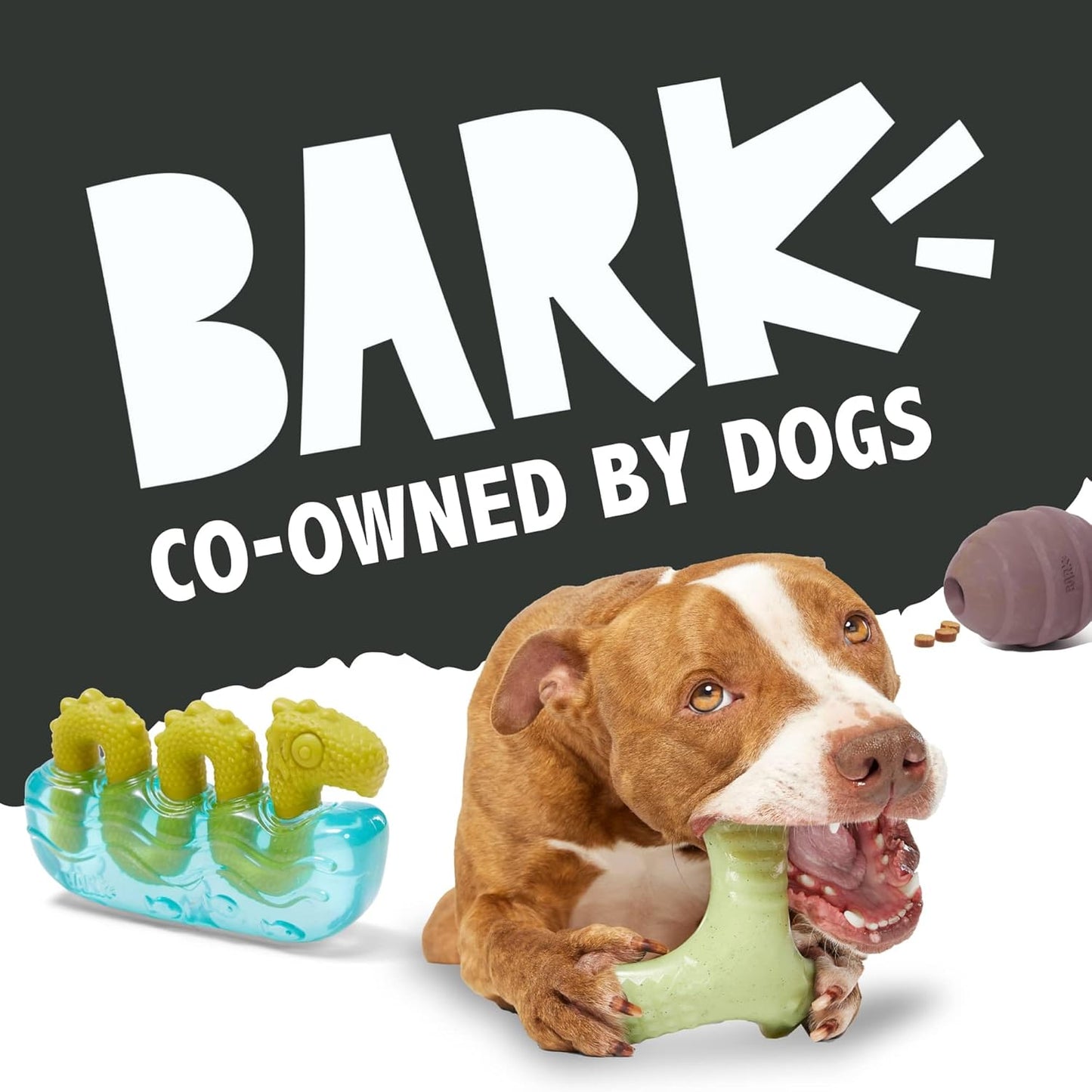Barkbox Super Chewer Cinamutt Roll Treat Dispensing Toy for Dogs and Puppies, Medium and Large Dogs