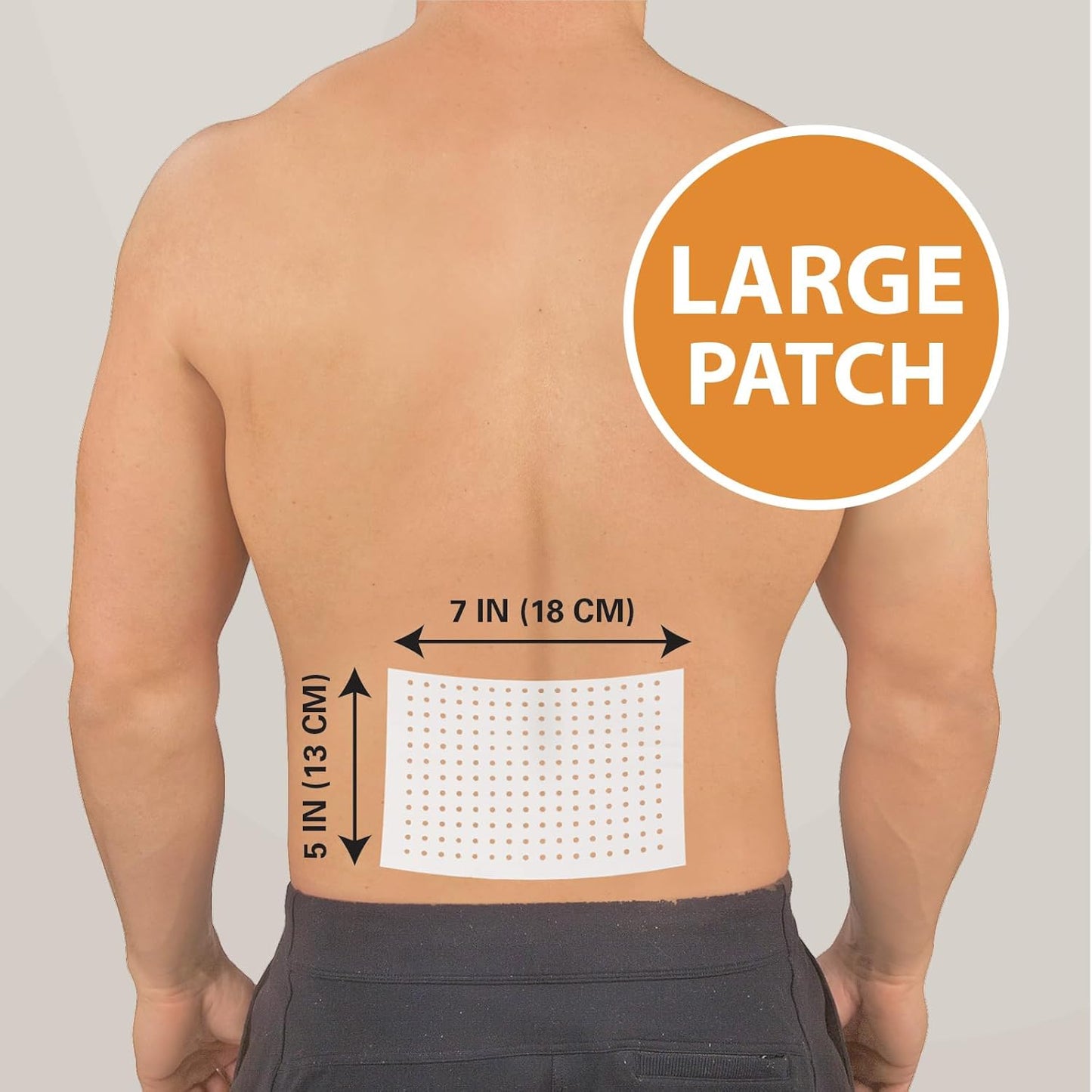 HealthWise Targeted Warming Capsaicin Heat Patch | Back & Large Areas | 20-Count | 5.25” x 7” | Topical Analgesic | Soothes Minor Aches and Pains