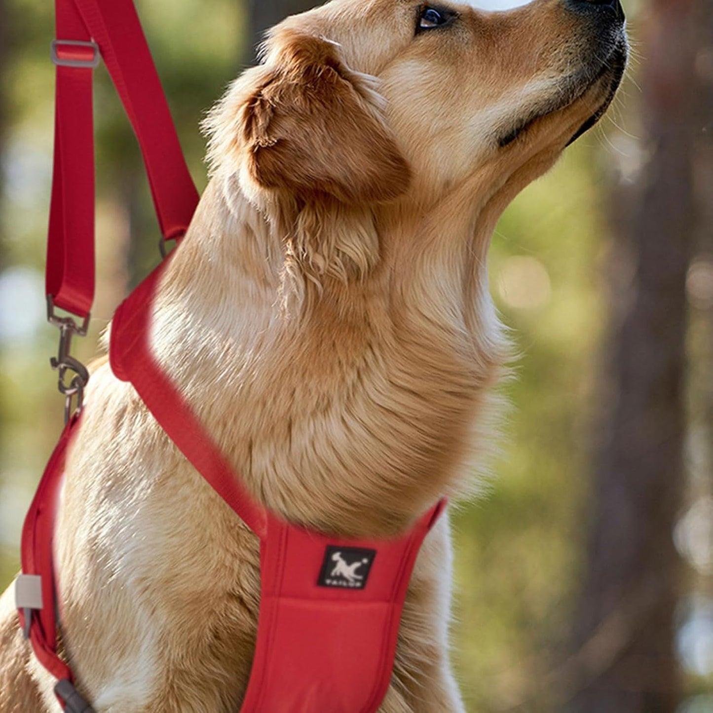 Rehabilitation Dog Carrying Slings for Dog Front Rear Leg Strap Lift Harness for Dog Surgical Joint Leg Recovery