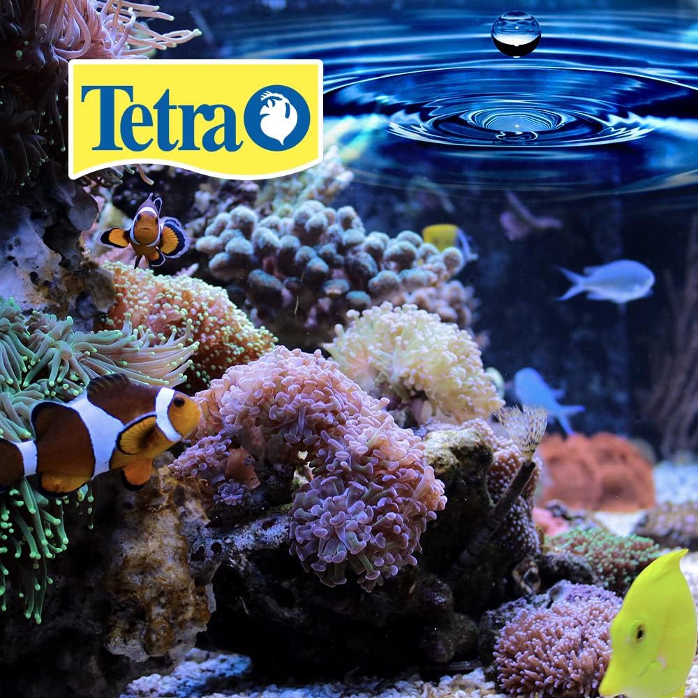 Tetra BettaSafe, Aquarium Water Conditioner For Bettas, 1.69-Ounce, 50ml, Golds & Yellows (16837)