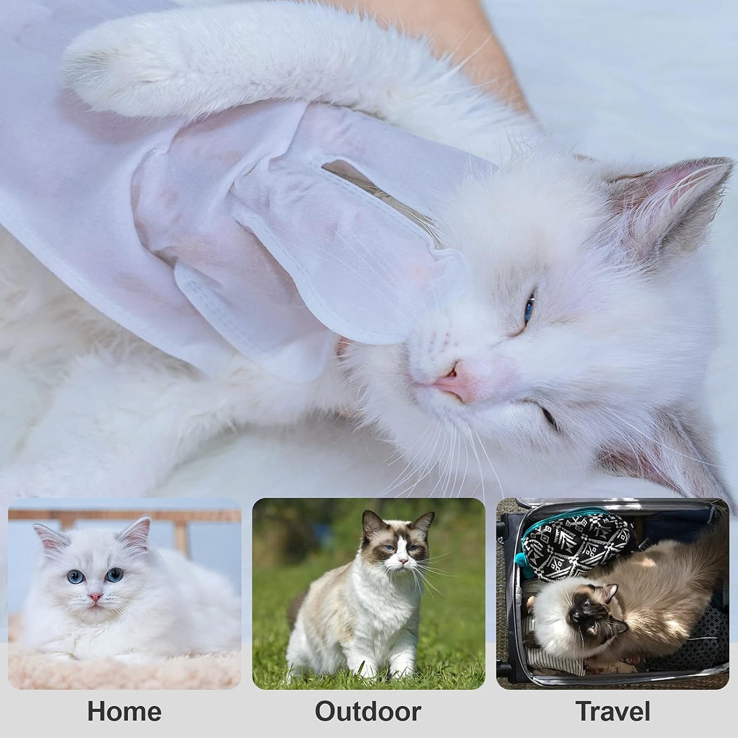 Pet Grooming Glove - Gentle Deshedding Brush Glove, Pet Bathing Wipes - Enhanced Five Finger Design - Daily Care and Traveling - Perfect for Dog & Cat with Long & Short Fur (7pcs/1-Pack)