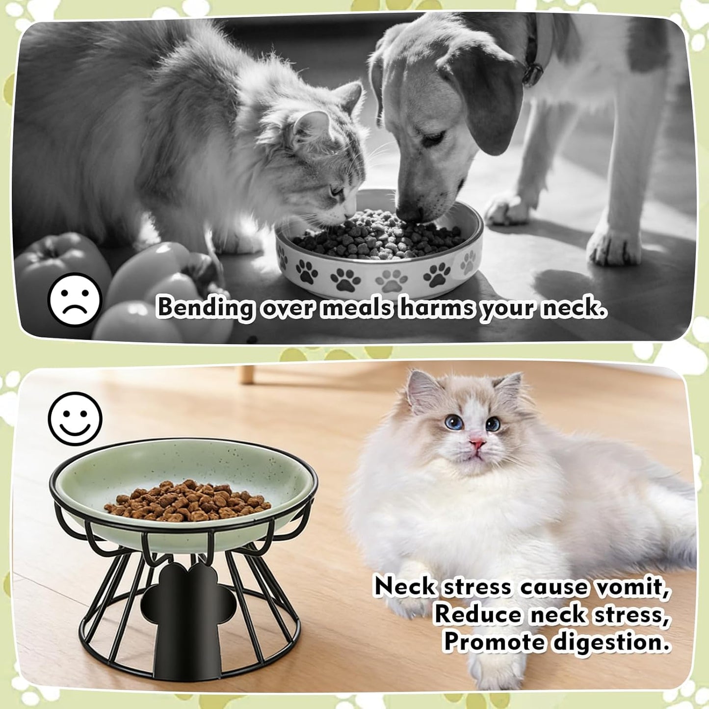 Shallow Cat Dishes with Metal Stand,Elevated Cat Bowl,Ceramic Cat Bowls,Raised Cat Food Bowls,Pet Feeder for Indoor Cats,Kitten and Small Dogs, Dishwasher Safe