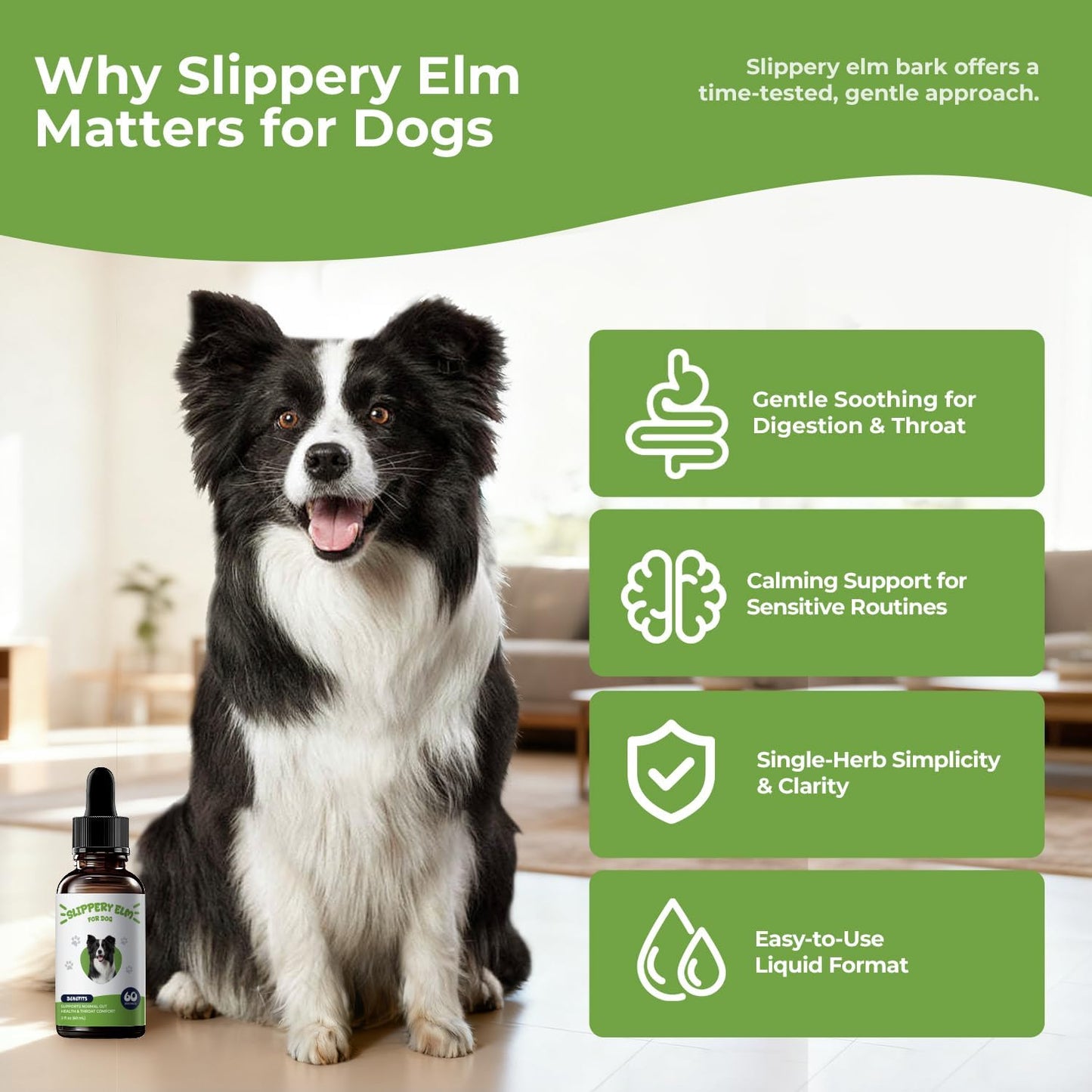 Slippery Elm for Dogs Liquid Drops, Organic Slippery Elm Bark Extract, Gut and Throat Comfort Support, Easy Mix-in Dog Supplement, Bacon Flavor, 2 fl oz