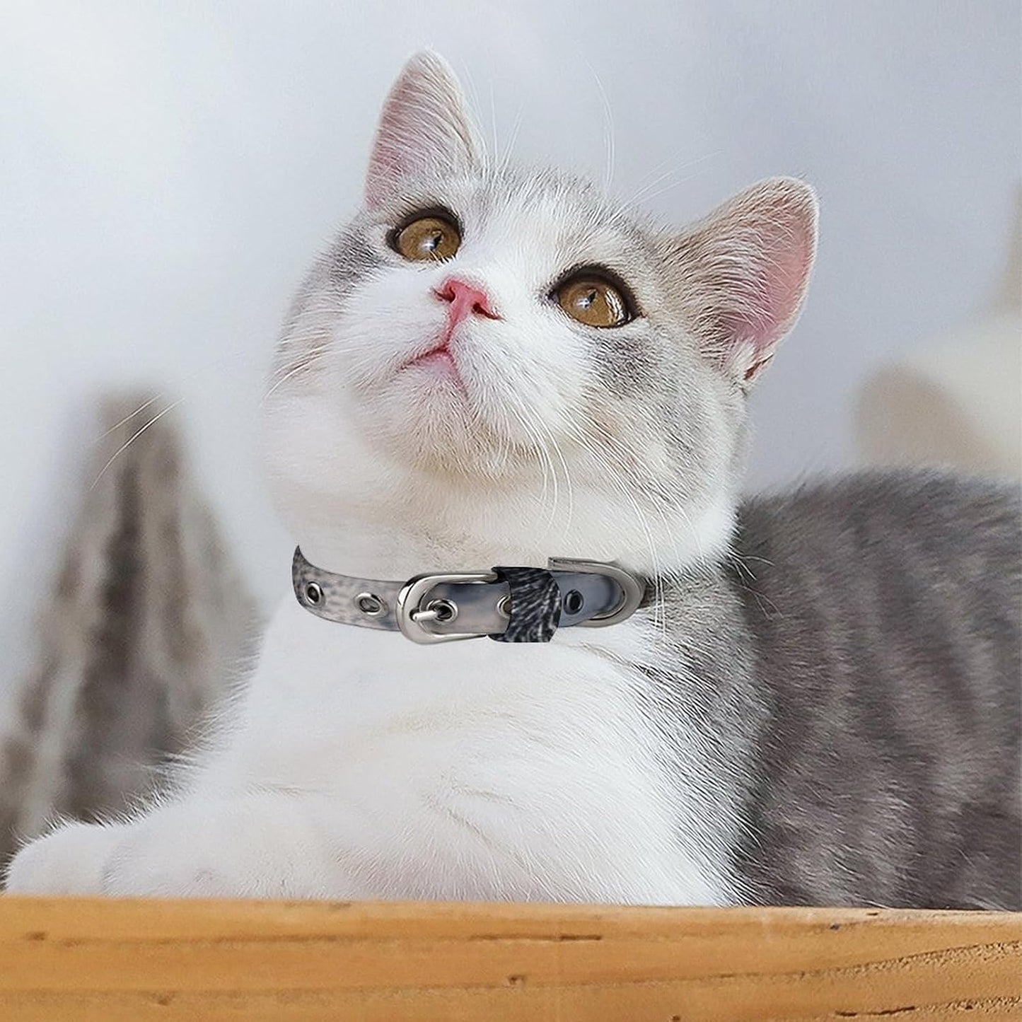 Cats with Yellow Eyes Dog Collar with Buckle Adjustable Martingale Pet Collars Cute Female Male Puppy Collar Soft Waterproof Cat Collars for Small Medium Dogs