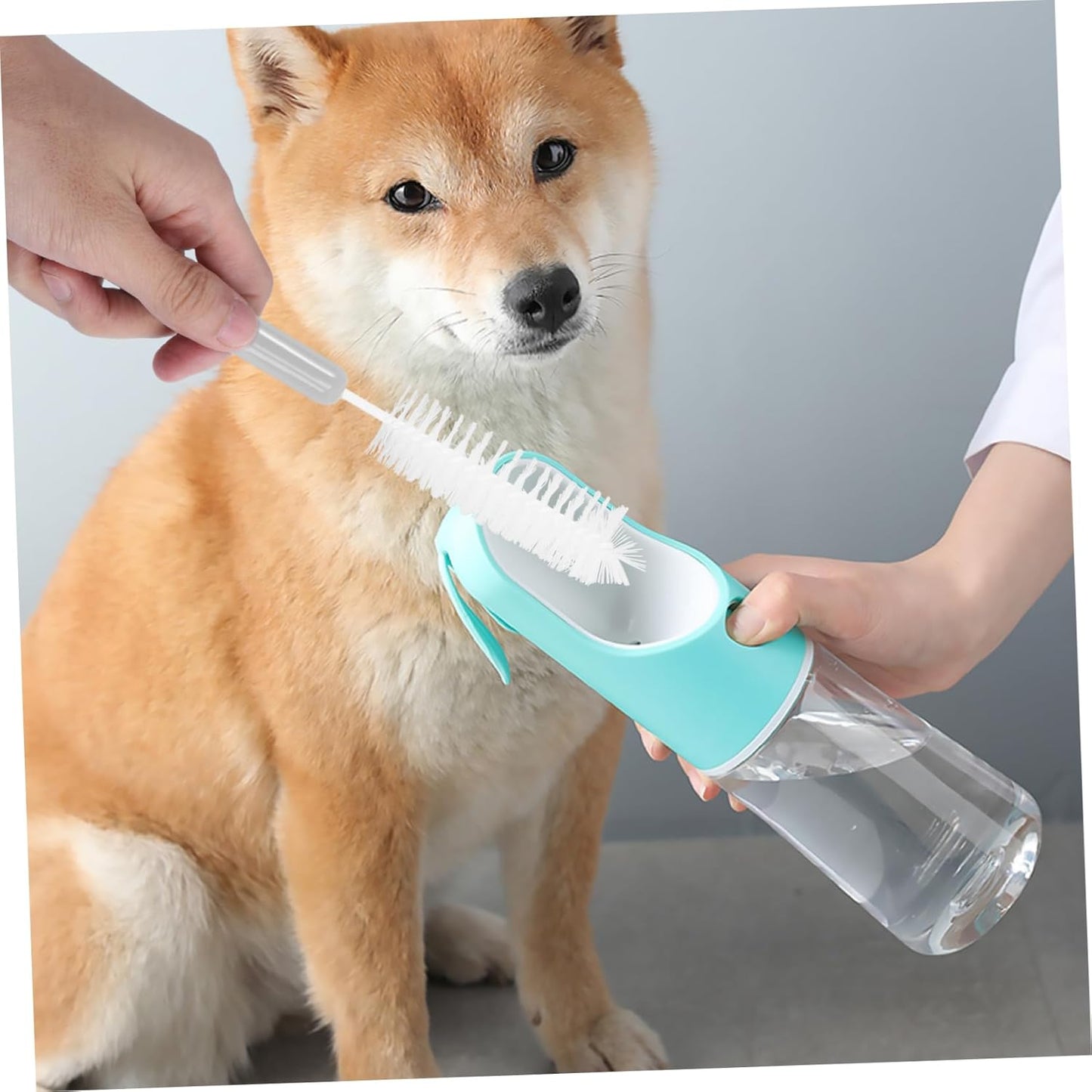 Baluue Portable Pet Bowl Cleaning Tools Pet Water Fountain Scrub Brush Set for Cats Dogs