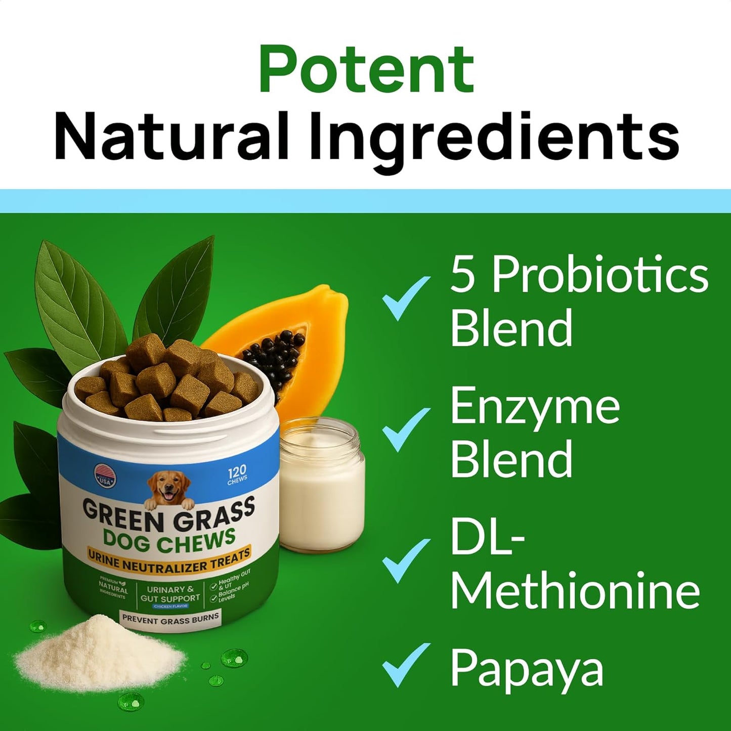 PAWFECTCHEW Green Grass Dog Chews w/Probiotics - Prevent Urine Burning Grass - Dog Pee Grass Spot Saver - Dog Urine Neutralizer for Lawn Treats, UT & Gut Health for Dogs, Lawn Burn from Dog Urine