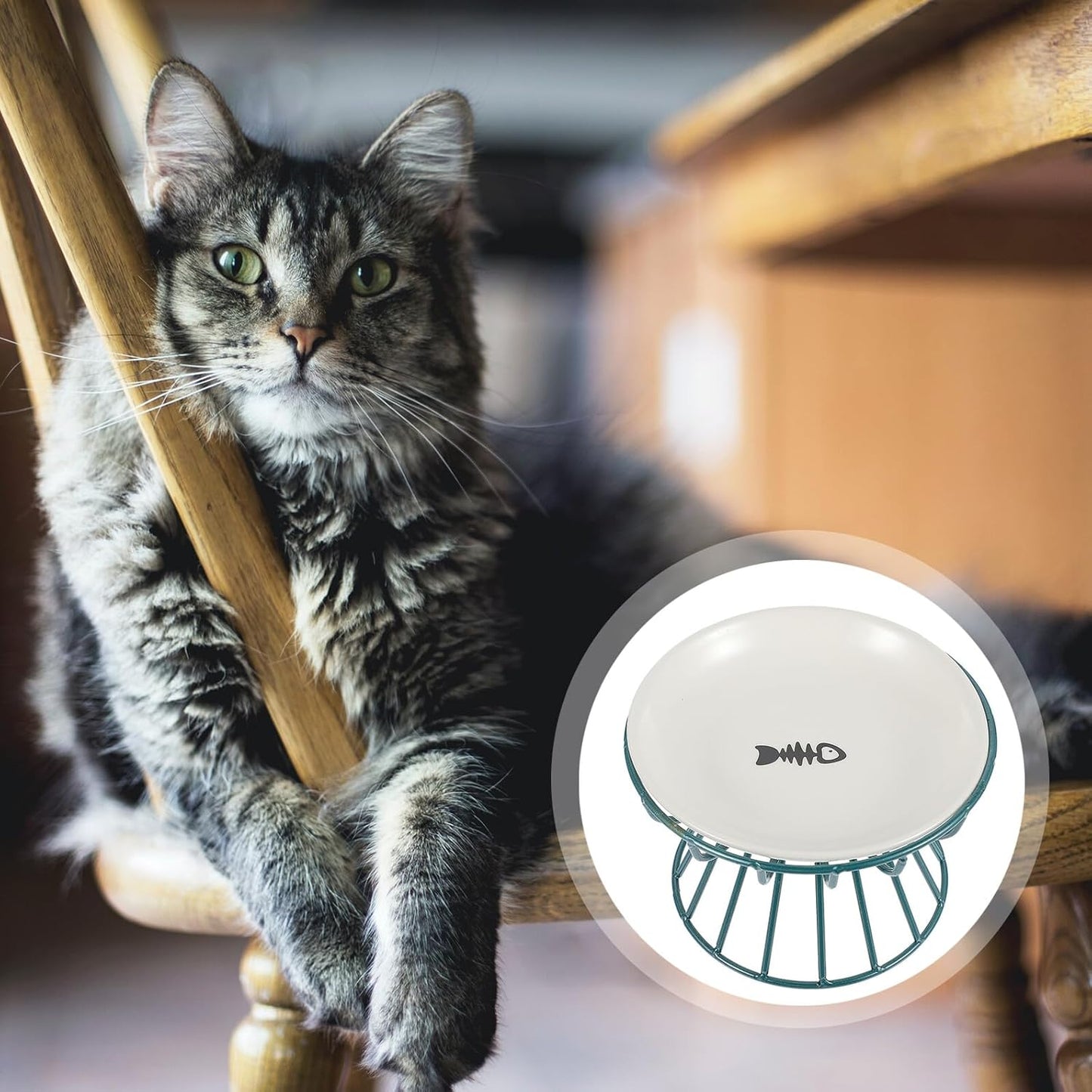 Milisten Pet Cat Ceramic Raised Feeding Bowl with Metal Rack Anti-Overturn Food and Water Dish Set Elevated Pet Bowl for Cats to Protect Spine and Feeding Comfort 2pcs Set Green Metal Stand