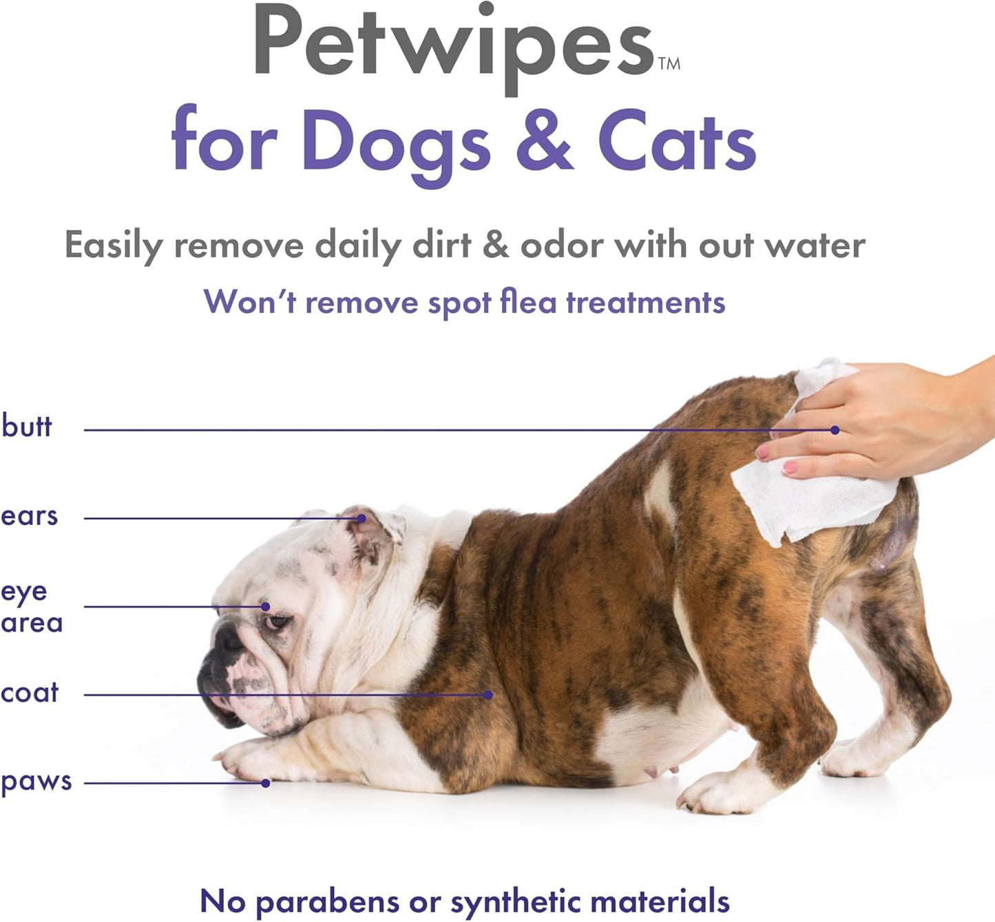 Petkin Plant-Based PetWipes, 100 Wipes - Biobased, Sustainable, Big & Thick Pet Wipes for Dogs & Cats - for Face, Paws, Ears, Body & Eye Area - Consciously Cleans & Conditions - Lavender