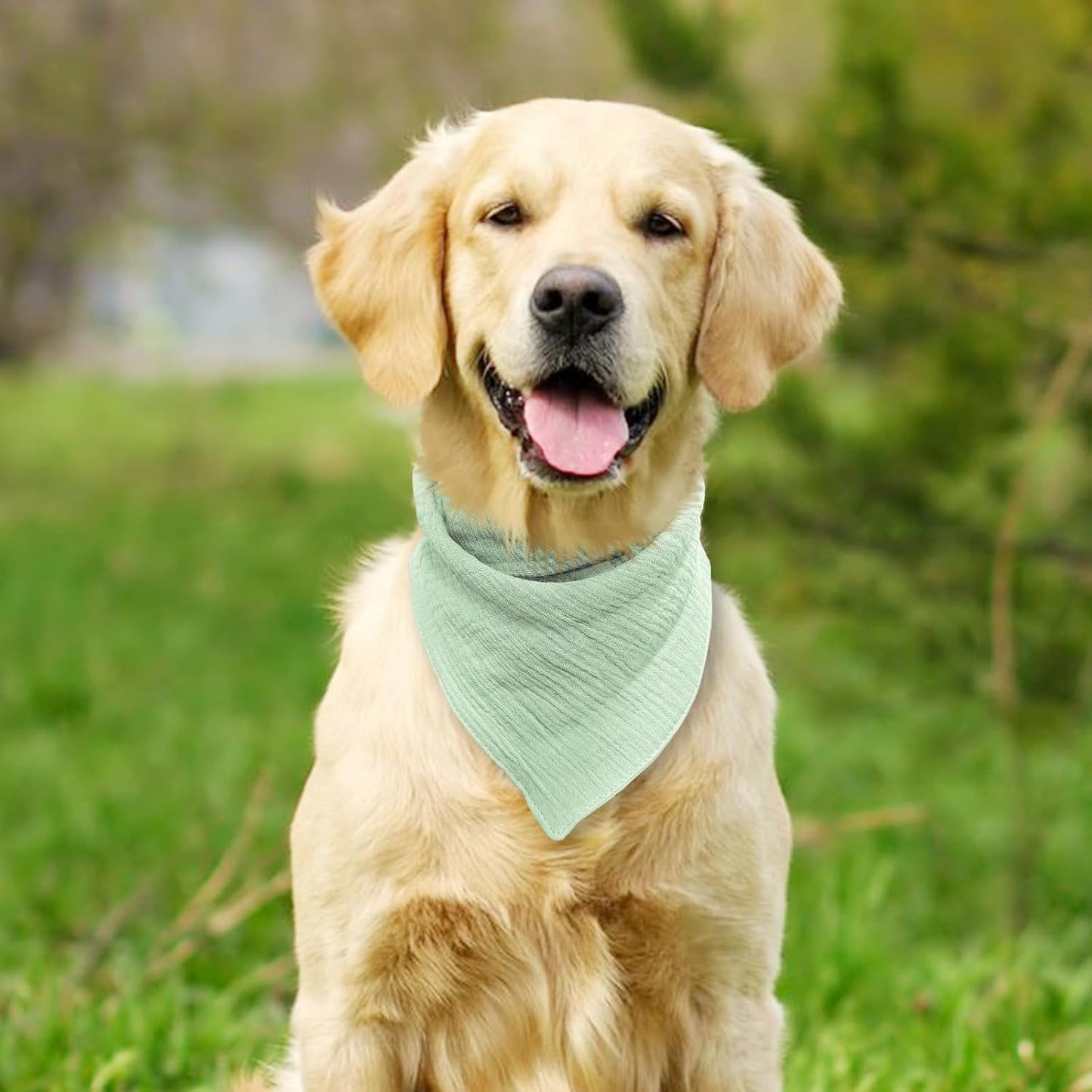St. Patrick's Day Pet's Bandanas for Large Dog Solid Color Dogs Scarf with Adustable Button,Pea Green,Large