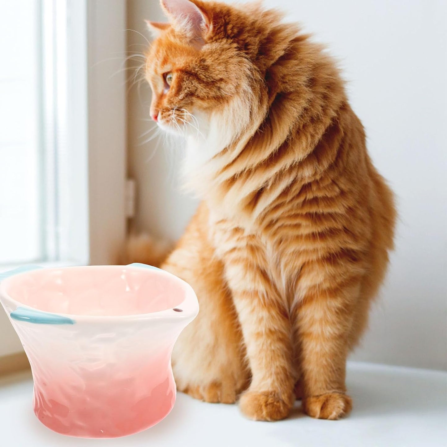 FAVOMOTO Protective Raised Cat Food Dish Tilted Pink Fish-Shaped Decorative Pet Feeder Household Food Bowl for Cat Feeding