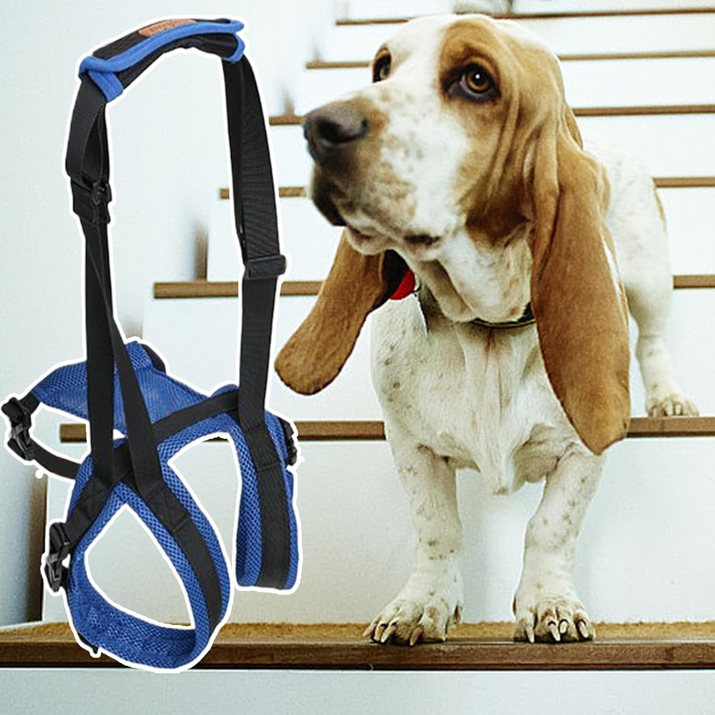 Canine Lift Harness - Rear Mobility Support for Senior Companions | Adjustable Hip Assistance Strap, Soft Padded Sling System, Balanced Weight Distribution with Reinforced Stitching & Comfort Grip Han