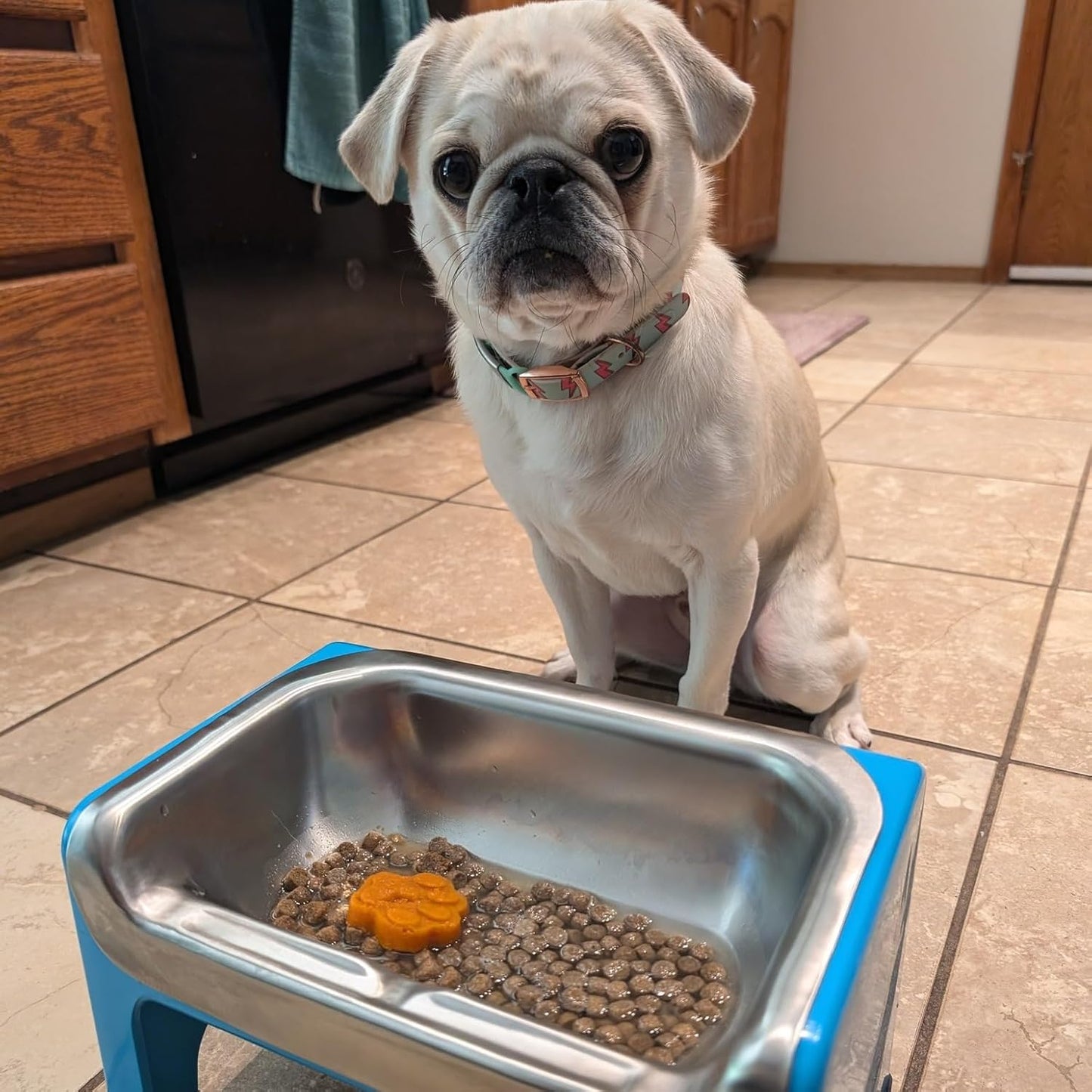 Fluff Trough 7.25 Inch Tall Elevated Dog Bowls for Medium & Small Dogs – Stainless Steel Raised Dog Bowl with Stand Holds 2 Cups of Pet Food – Vet Recommended, Dishwasher Safe Dog Feeder Station