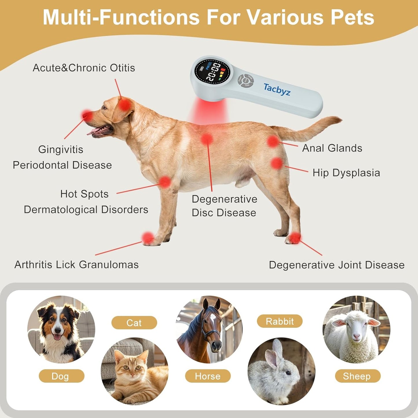 Cold Laser Therapy Device for Dogs, 16x660nm+4x810nm+4x980nm, Handheld Red Light Therapy for Joint&Muscles Pain Relief, Pet Laser Therapy for Dogs Cats Horse, Helps Inflammation, Wound Healing