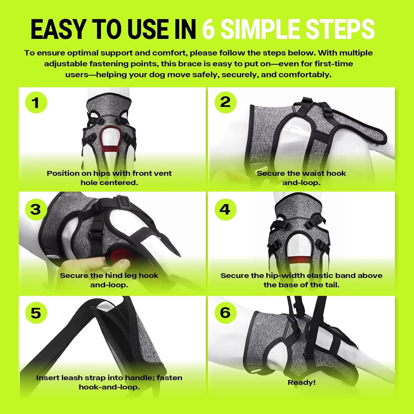 Dog Lift Harness – Adjustable Hind Leg Support Sling for Medium & Large Dogs, Soft Padded Mobility Aid for Senior, Injured & Arthritic Dogs