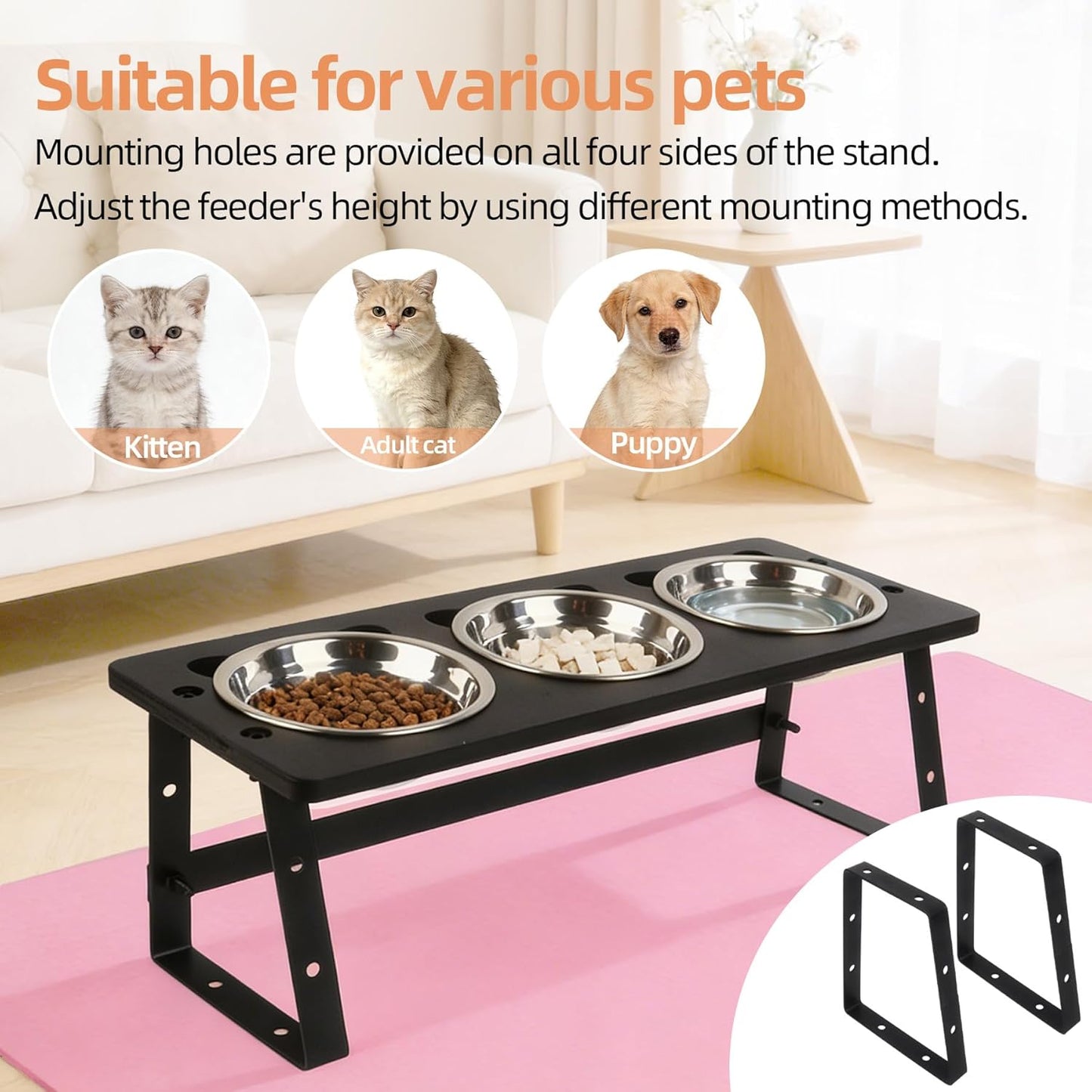 10°Tilted Elevated Cat Bowls with Food Mat & 3 Stainless Steel Pet Dishes, Raised Cat Food Water Bowls Set, Anti-Vomiting for Indoor Cats and Small Dogs, Bonus Treat Spoon