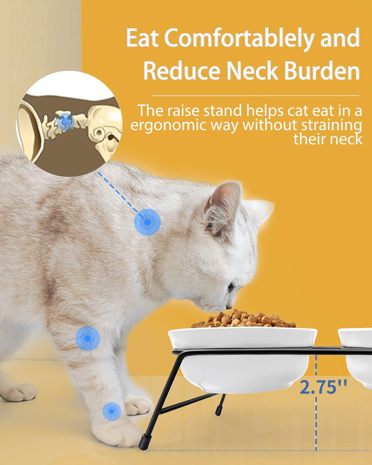 Anti-Vomiting Raised Cat Bowls - 3 × 13 oz Ceramic Food & Water Bowls with Non-Slip Stainless Steel Stand, Dishwasher Safe for Indoor Cats & Puppy