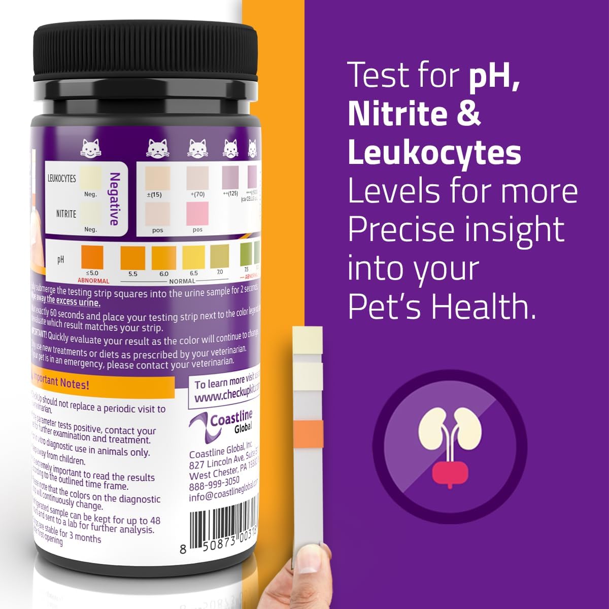 KIT4CAT CheckUp Cat and Dog UTI Urine Test Strips | 3 Parameters CheckUp in 1- a More Detailed Test of 3 UTI Related Markers - pH, Nitrite and Leukocytes Levels x50