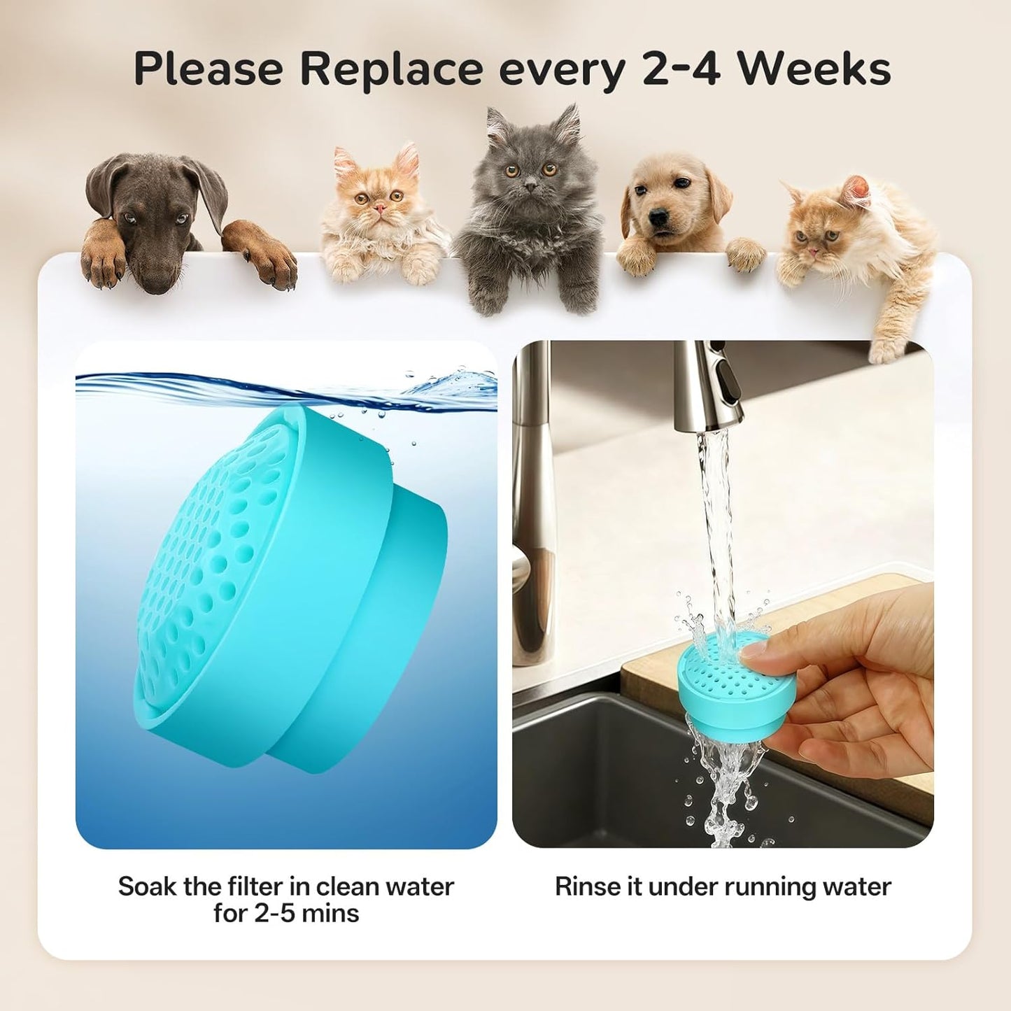 6 Packs Cat Fountain Filters & 6 Sponge Sets-Compatible with Cepheus 2.7L Glass Pet Fountain