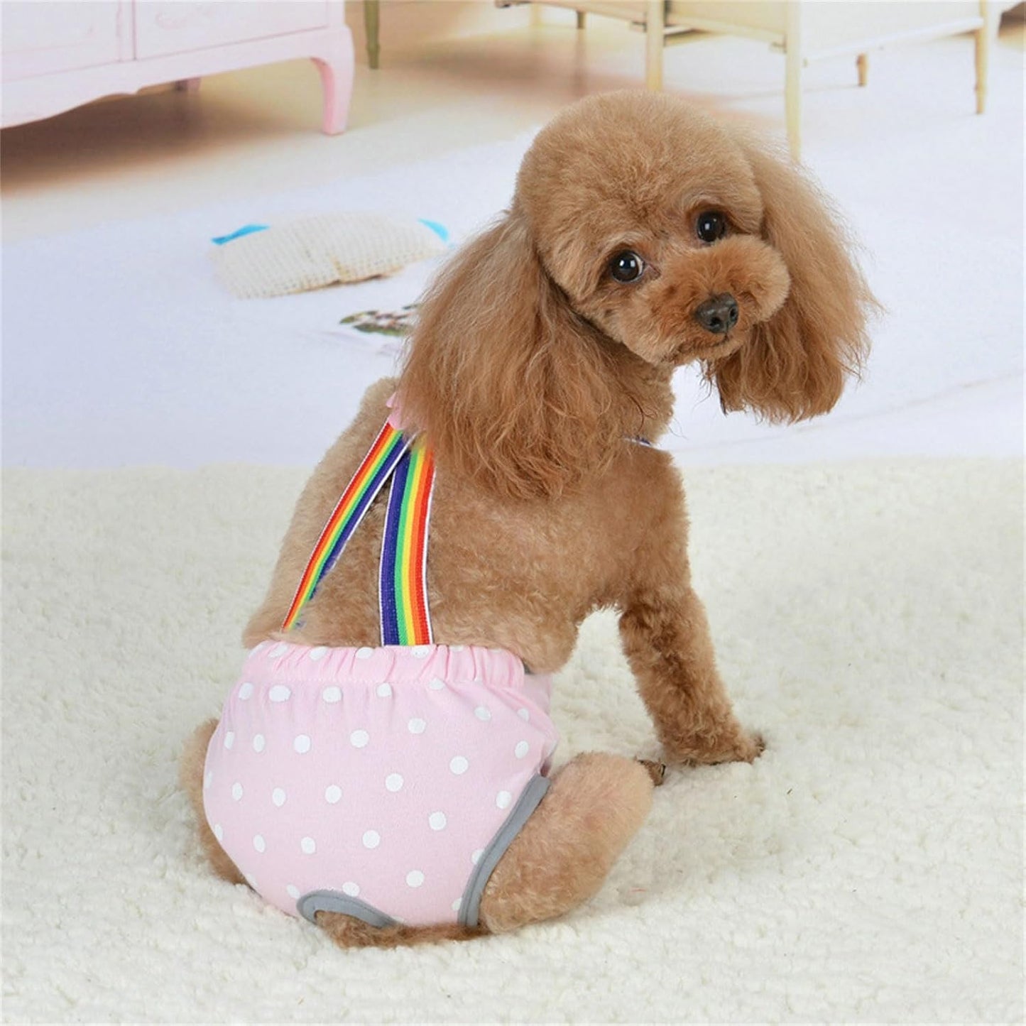 Dog Diaper Shorts Sanitary Pantie Female Dogs Adjust Suspender Diaper Panties Period Briefs Physiological Shorts Supply for Female Pet