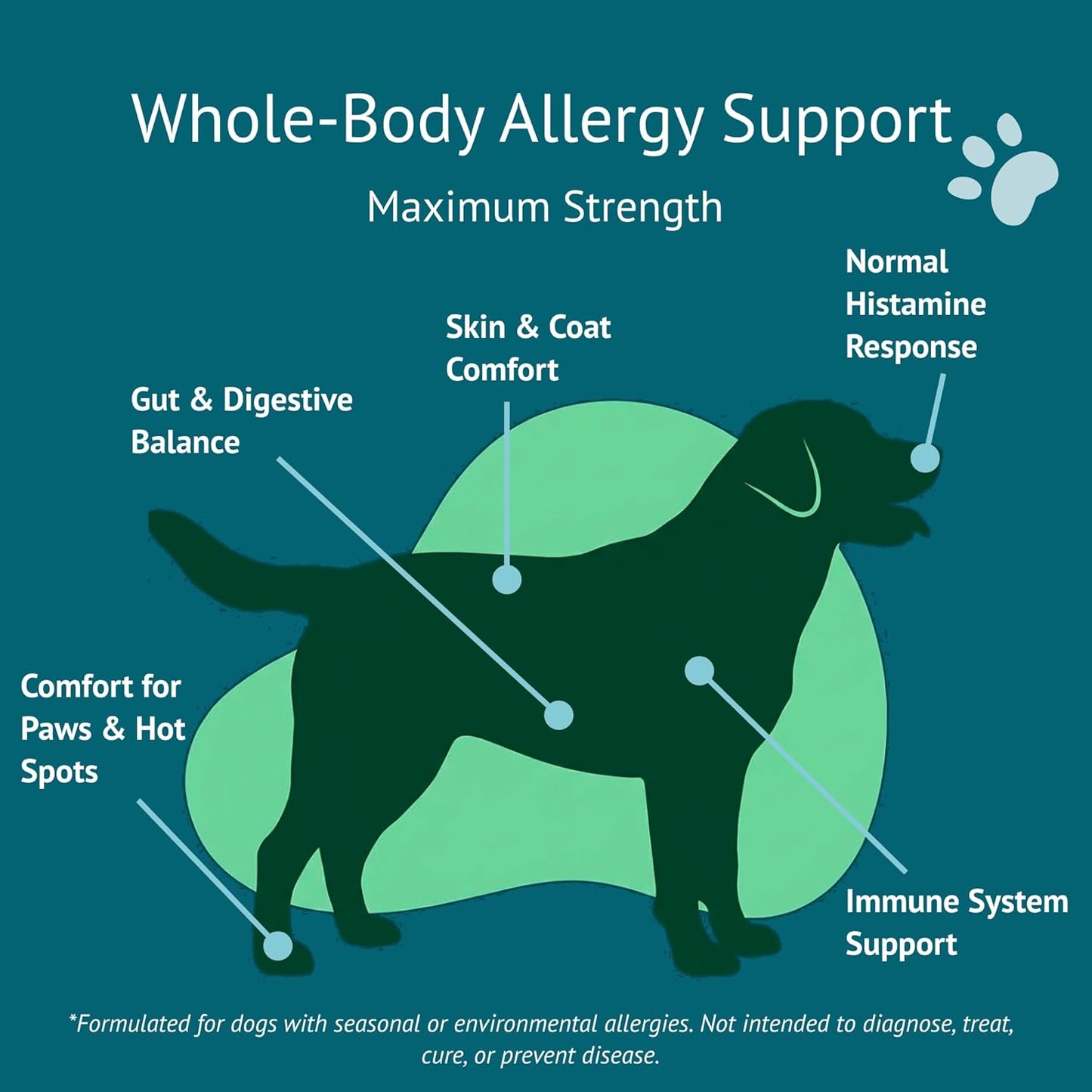 Allergy Relief Dog Chews – Quercetin, Turmeric, Ashwagandha, Probiotics & Colostrum – Seasonal Allergy, Immune & Digestive Support – for Itchy Skin & Hot Spots – All Breeds & Sizes