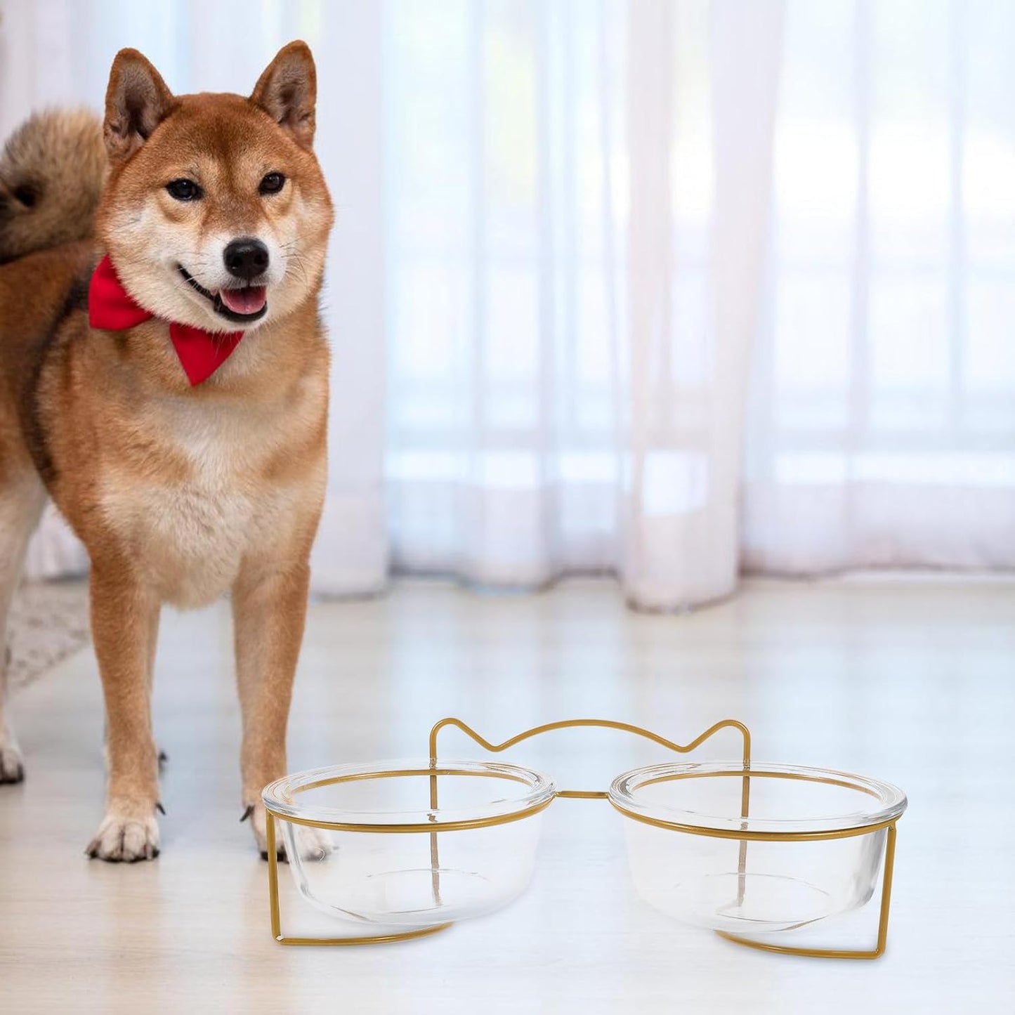 PRETYZOOM Double Raised Pet Feeding Bowls with High Tilt Glass Design and Elevated Stand, Non-Skid Cat and Dog Food Bowls for Healthy Eating, Suitable for Cats and Small Dogs