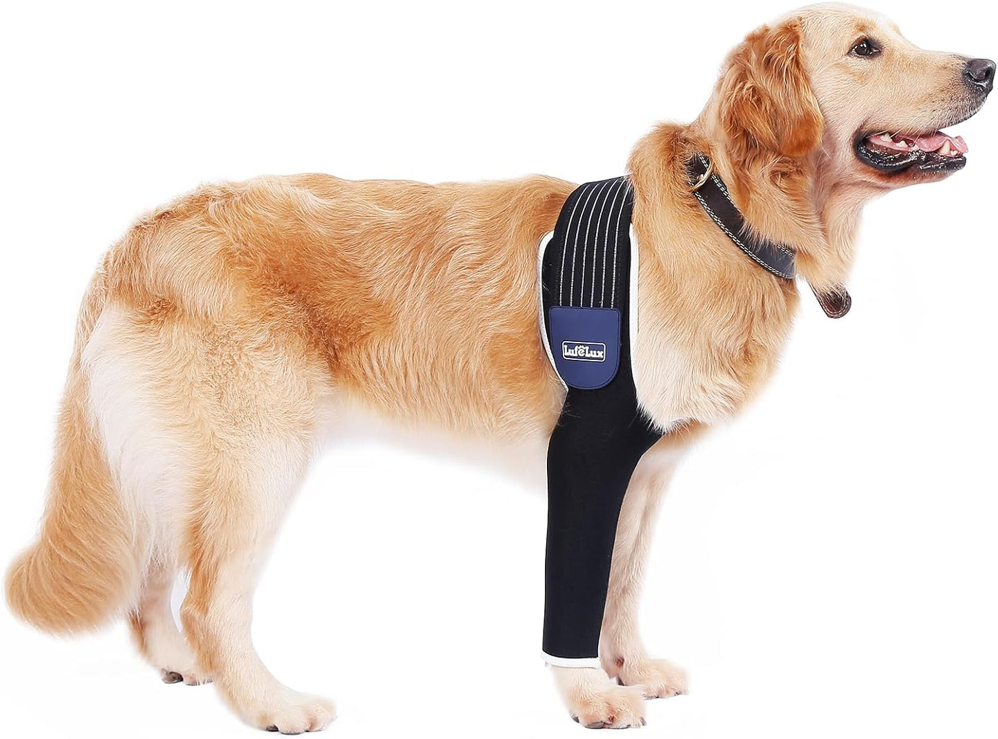 Dog Front Leg Sleeve, XLarge, Comfortable, Breathable Material, Adjustable Elastic Band, for Hot Spots, Wounds, Bandages