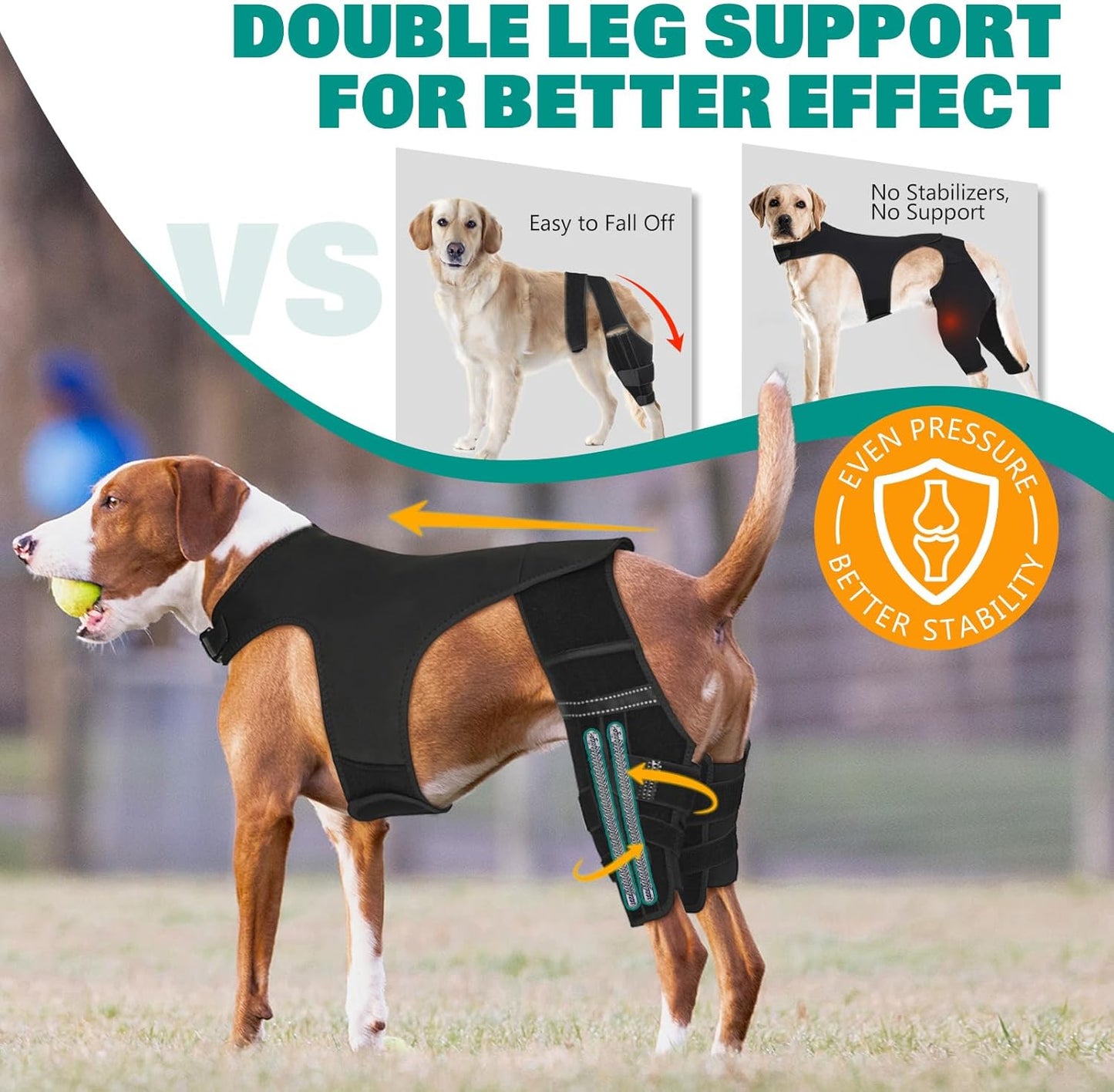 Dog Knee Brace for Hind Legs ACL Support - Adjustable Double Leg Dog Brace for Joint Pain Relief, Luxating Patella, Arthritis Recovery - Secure Fit Orthopedic Wrap for Small Medium Large Dogs (XXL)