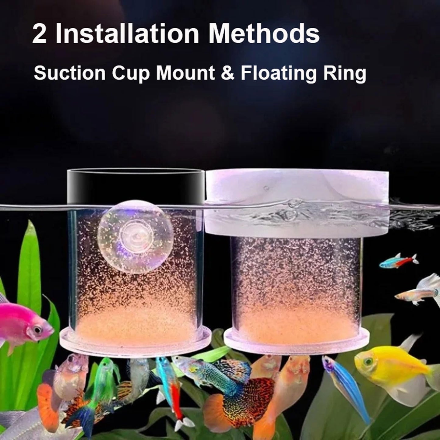 Fish Feeder, Baby Brine Shrimp Sieve,Blood Worms Feeder, Feeding Ring,Floating Food Dispenser with Suction Cup Mount & Floating Ring Set of 3 Sizes Ideal for Feeding Brine Shrimp,Blood Worms