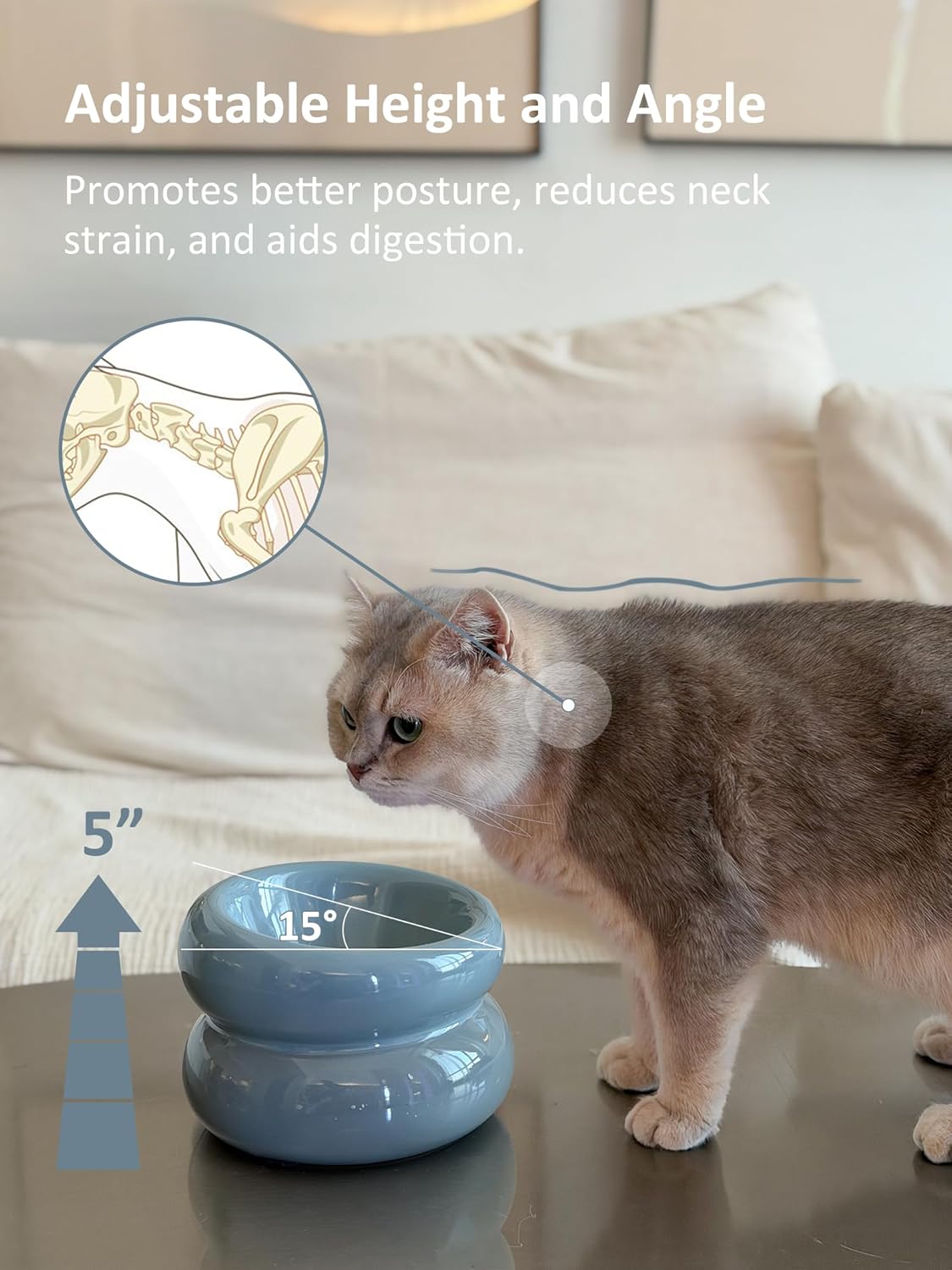 Ceramic Elevated Cat and Dog Bowls for Small Dogs, Non-Slip Tilted Raised Cat Food and Water Bowls Whisker Friendly, Standing Wet Food Bowl-Blue