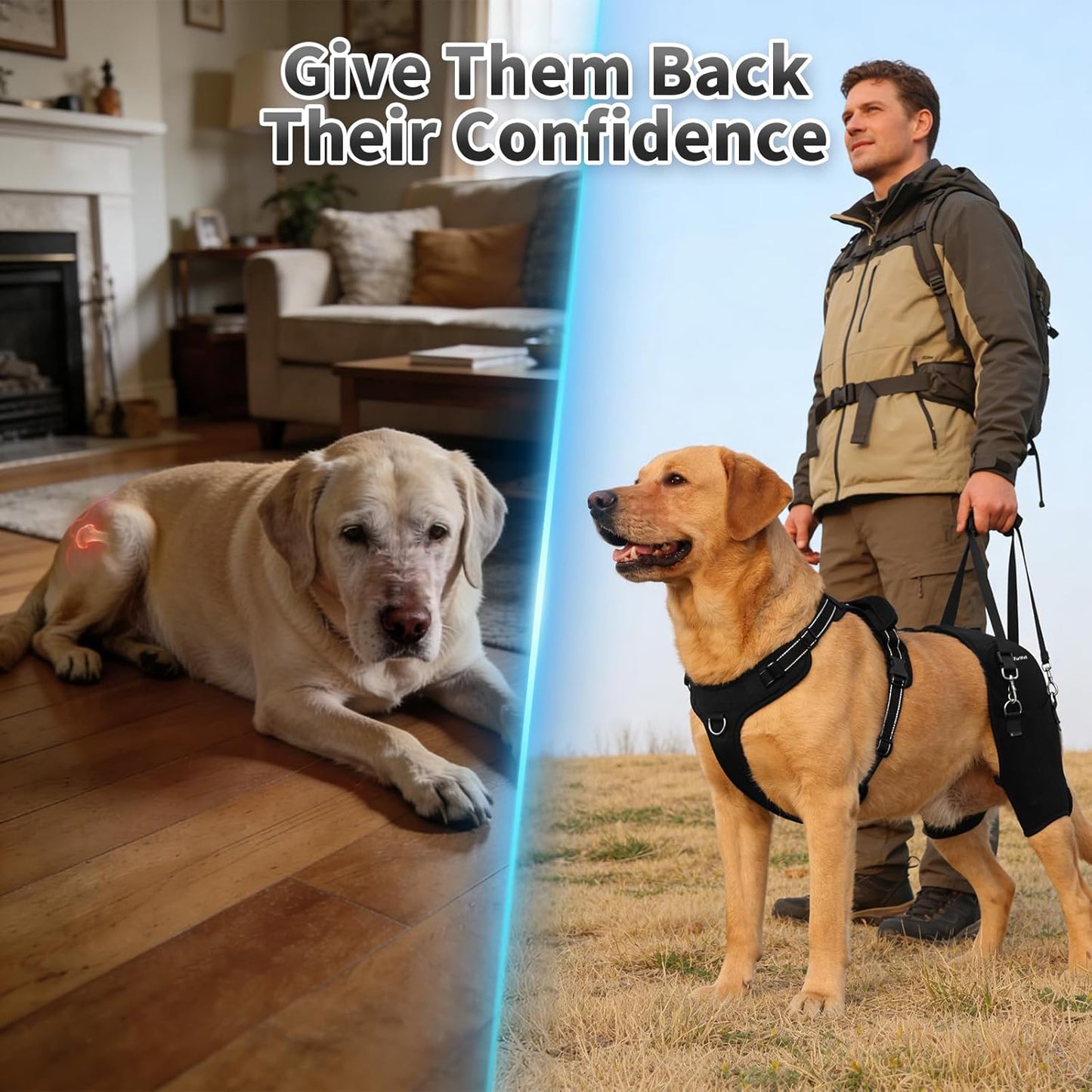 Dog Hip Brace for Hip Dysplasia & Arthritis - Adjustable Support Wrap with Removable Pads, Lifting Handle & Stabilizing Straps for Large Medium Dogs - Relief for Pain, Weakness & Lameness(L)