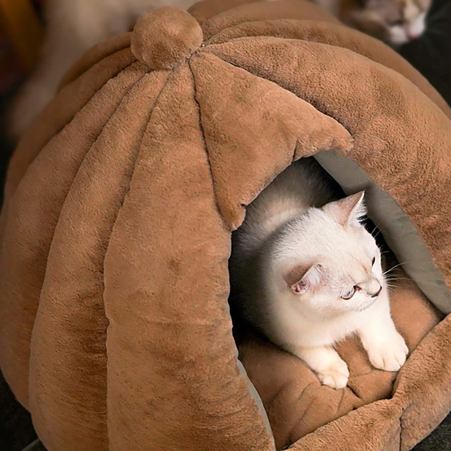 Cat Bed for Indoor Cats Machine Washable Cat Tent Dog Beds for Small Dogs, Puppy, Kitten, Rabbit Soft and Warm Indoor Cat House,Green,L