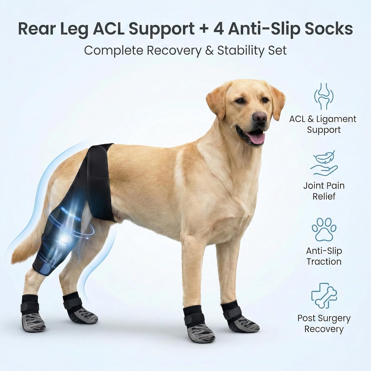 Dog Rear Leg Support Brace with Anti-Slip Socks – Adjustable for Joint Pain Relief and Recovery, Improves Mobility for Walking & Outdoor Use, Durable Black Size L (ACL Support)