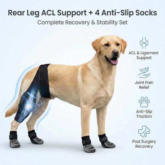 Dog Rear Leg Support Brace with Anti-Slip Socks – Adjustable for Joint Pain Relief and Recovery, Improves Mobility for Walking & Outdoor Use, Durable Black Size L (ACL Support)